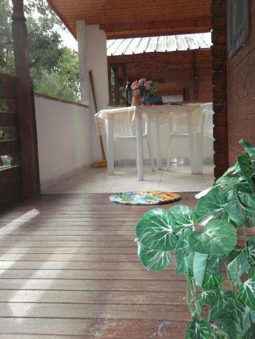 Villaggio Camping Costa del Mito