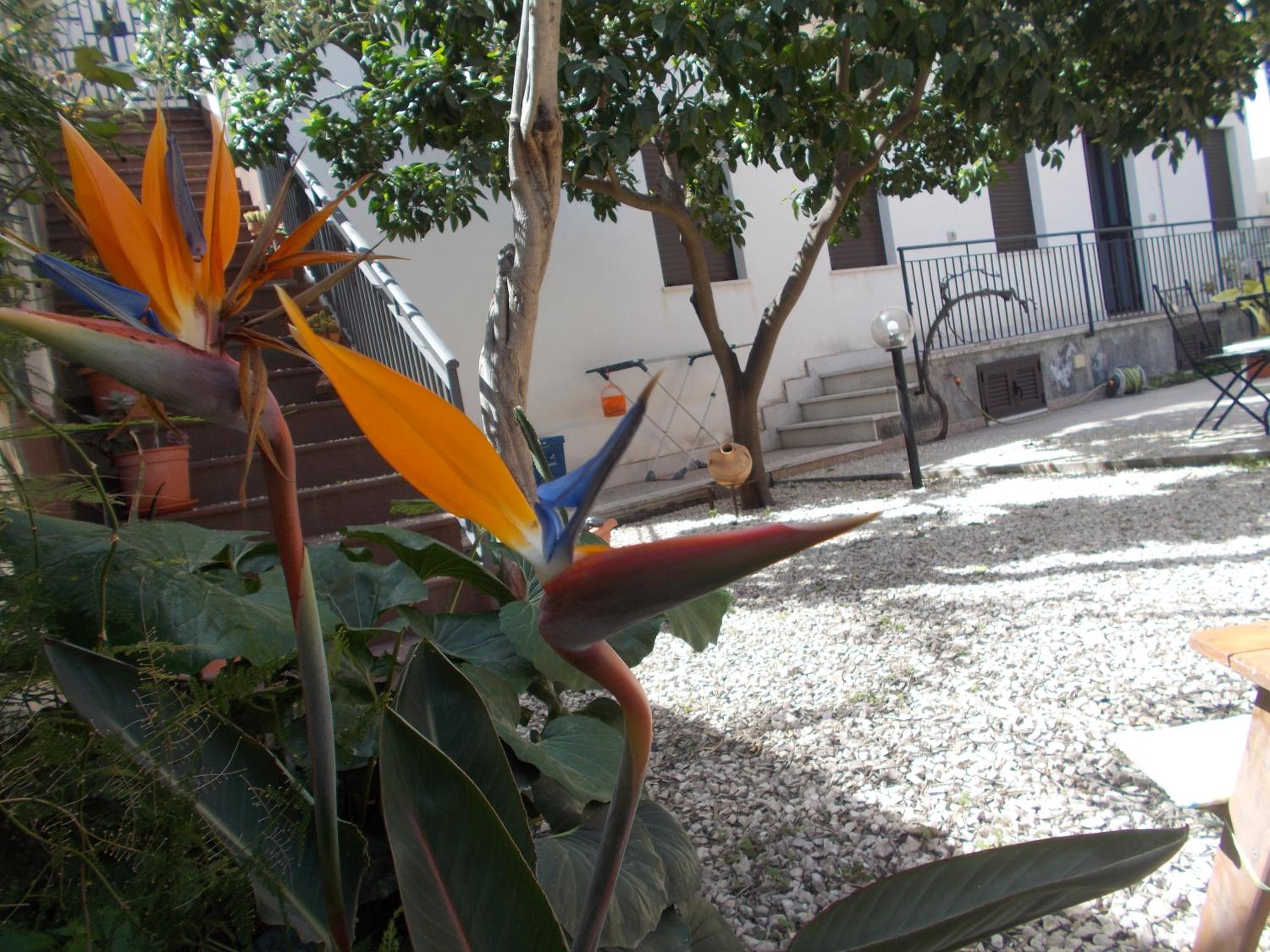 Photo 31