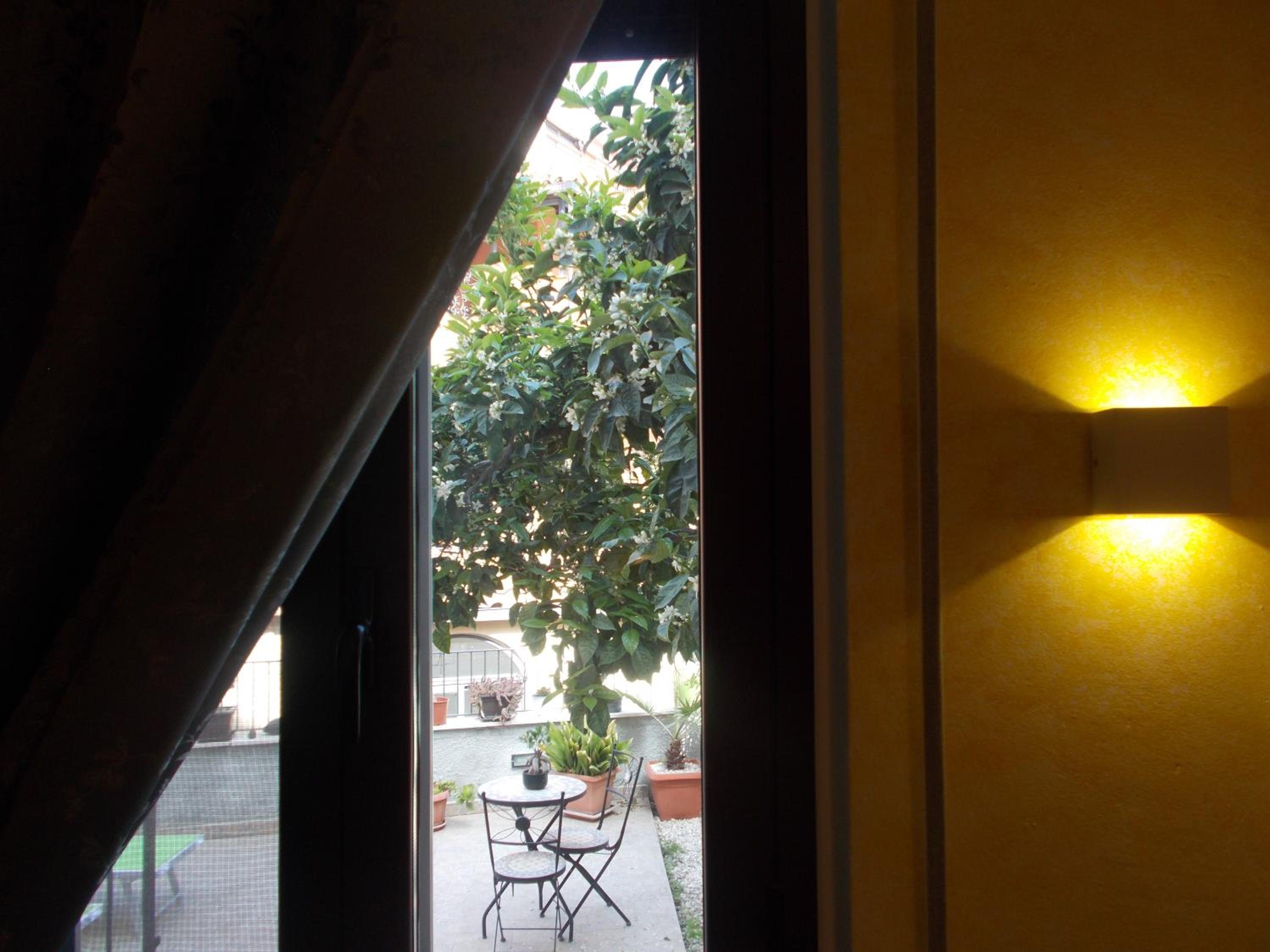 Photo 40
