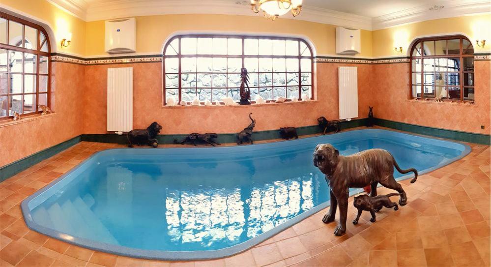 Regent Club Vila Tereza