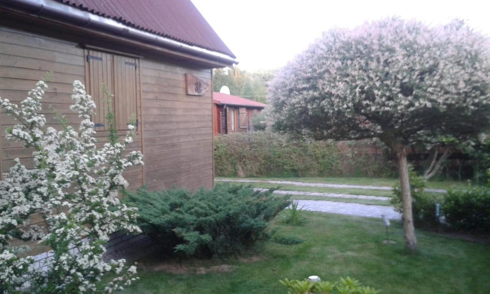 BURSZTYN 3 view 5