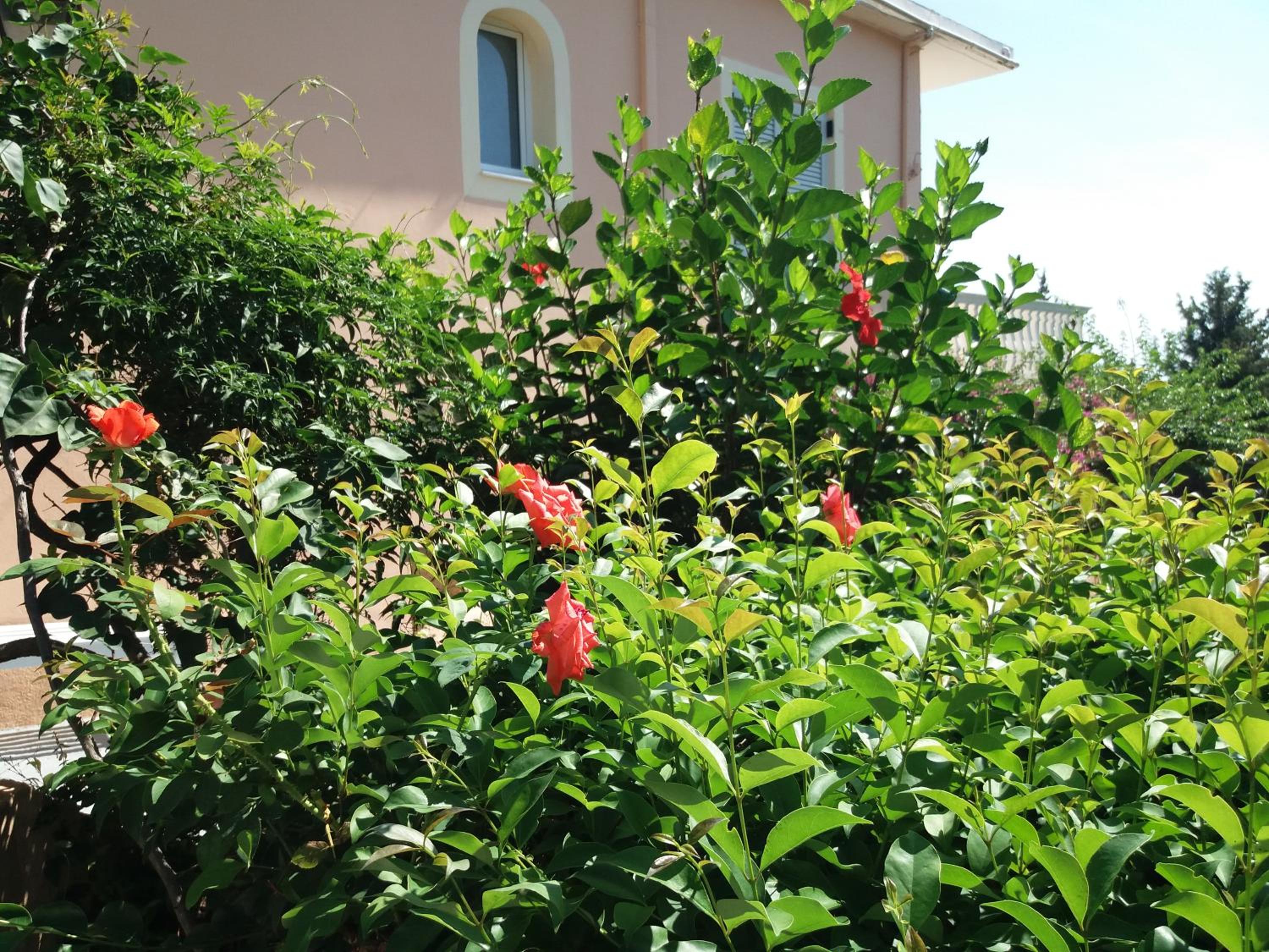 Photo 24