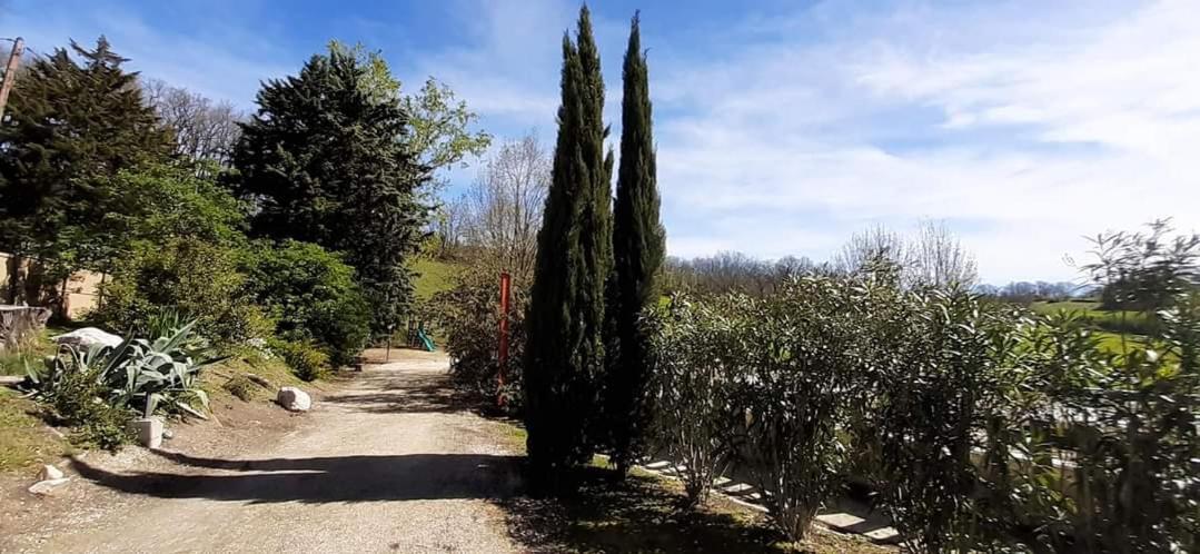 Photo 27