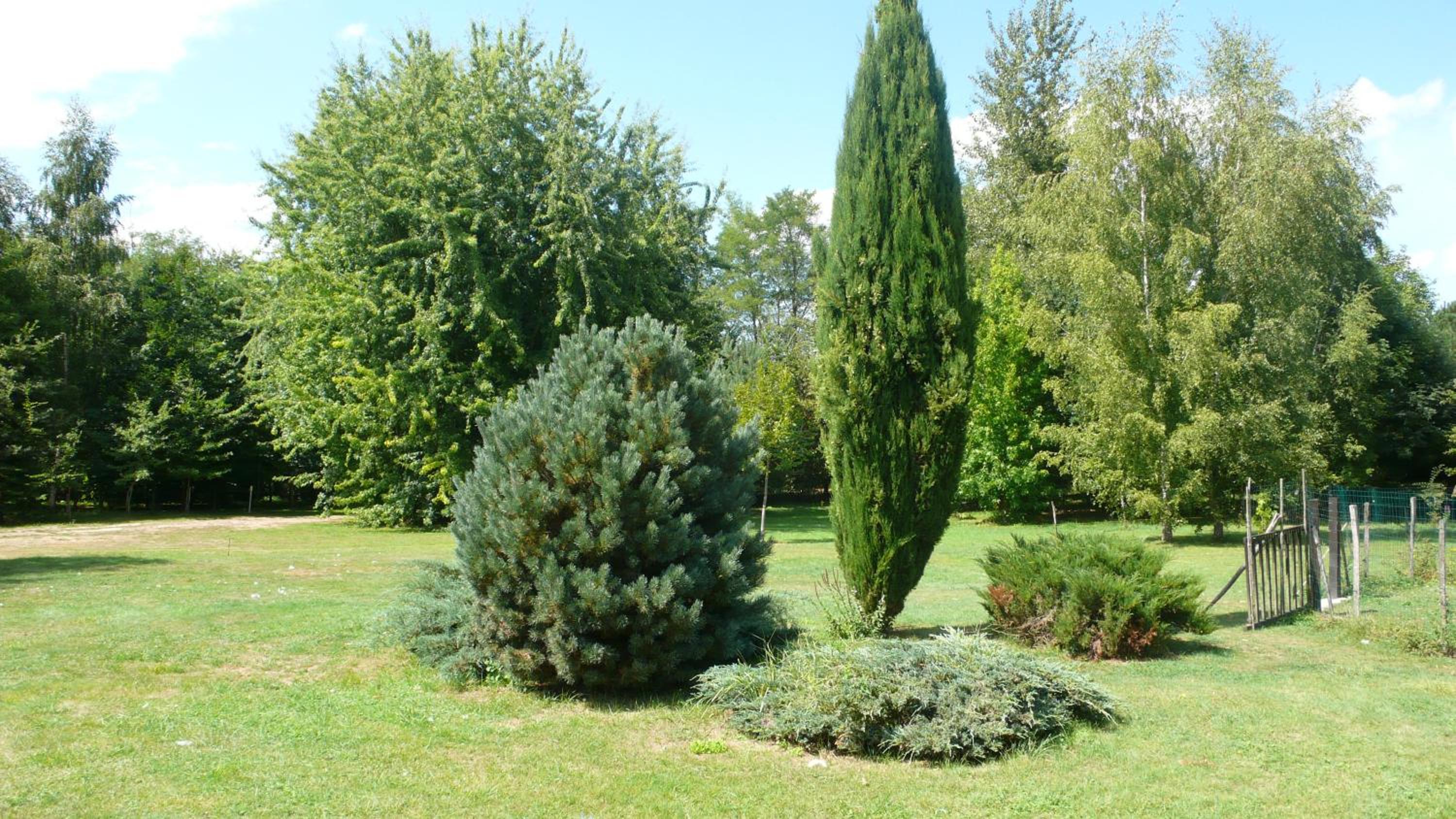 Hôte Sainte Marie