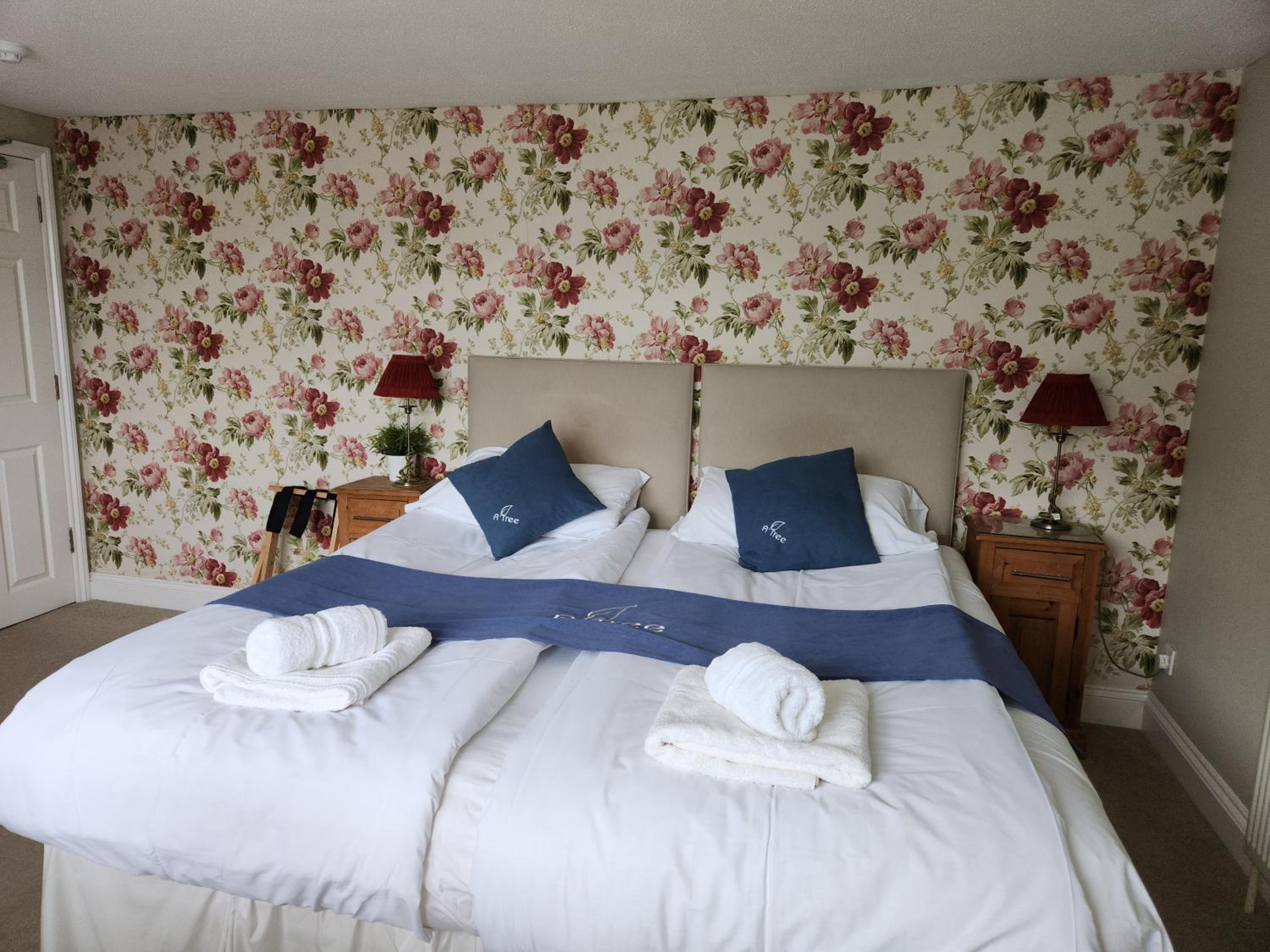 The Mayfair guest house self catering view 5