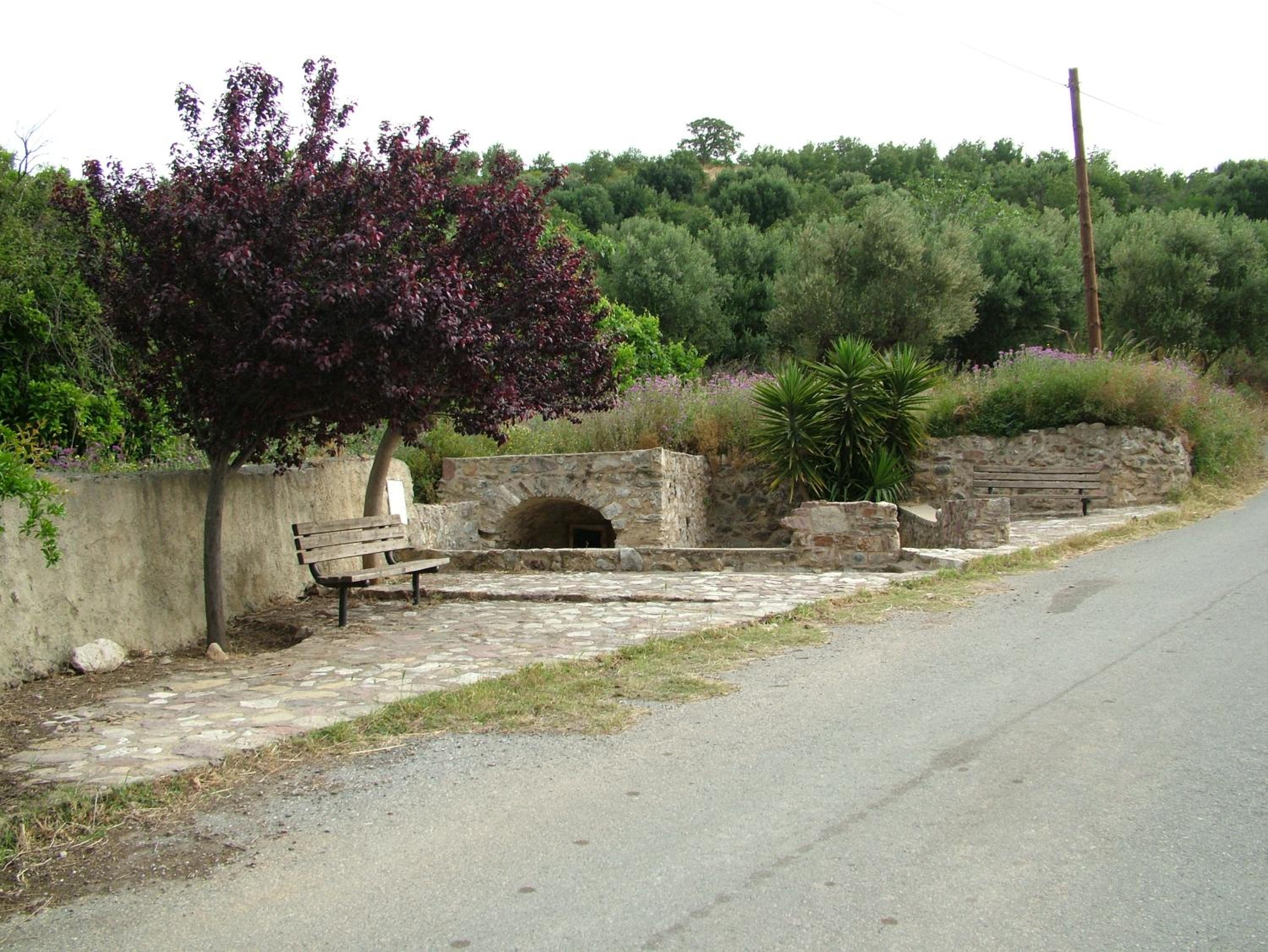 Photo 11