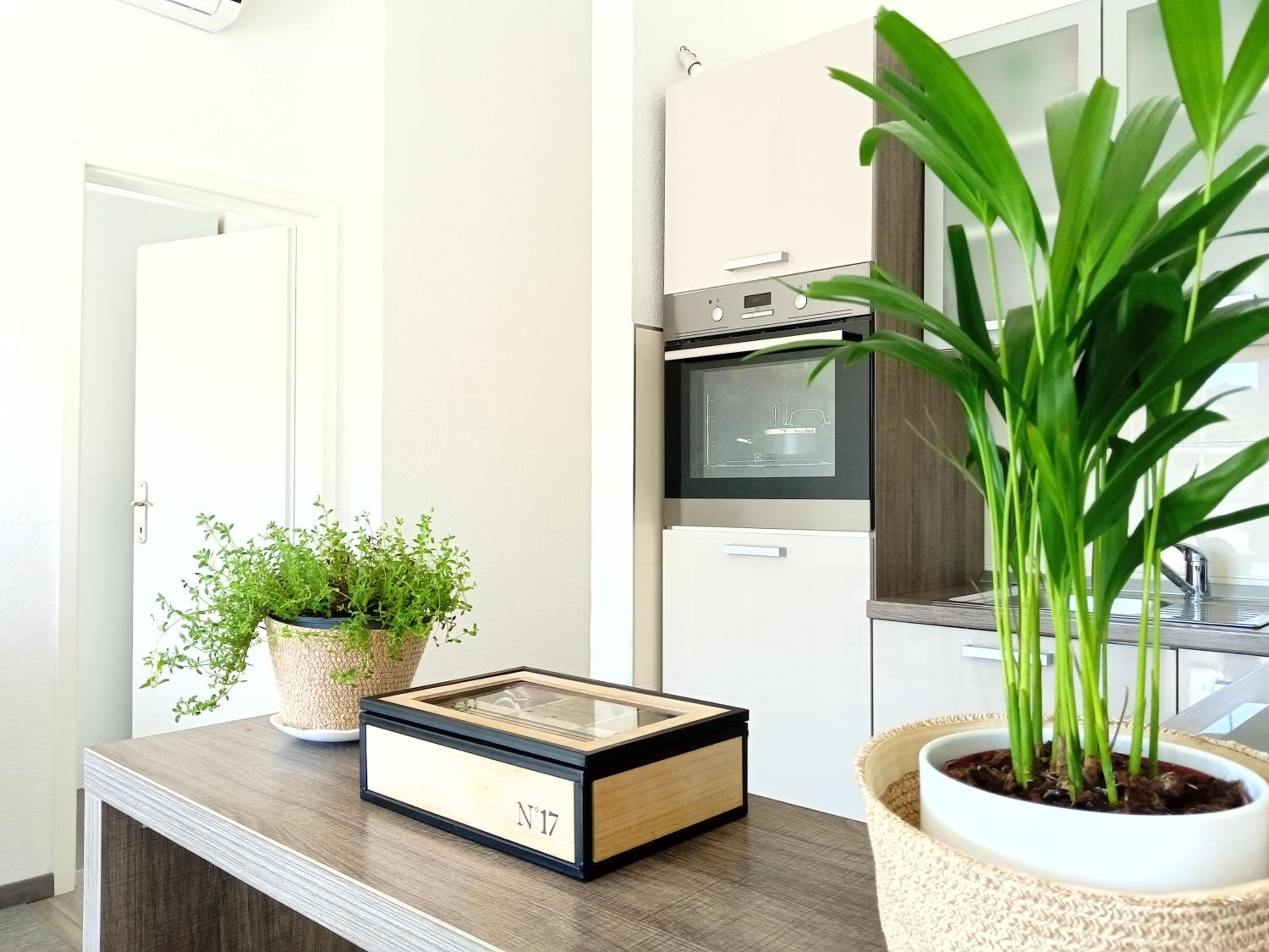 Apartment Ante