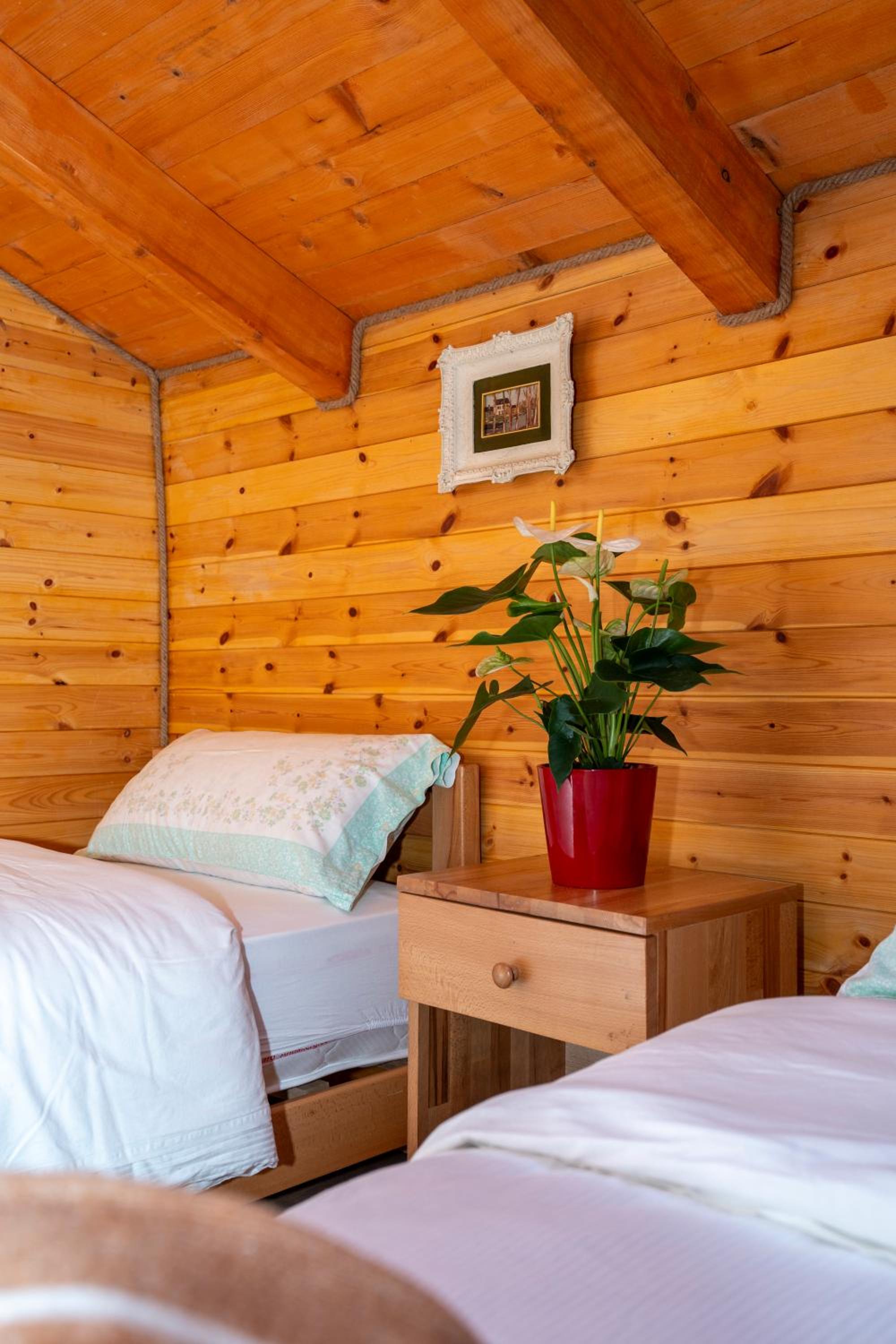 Bee Eco Guest House