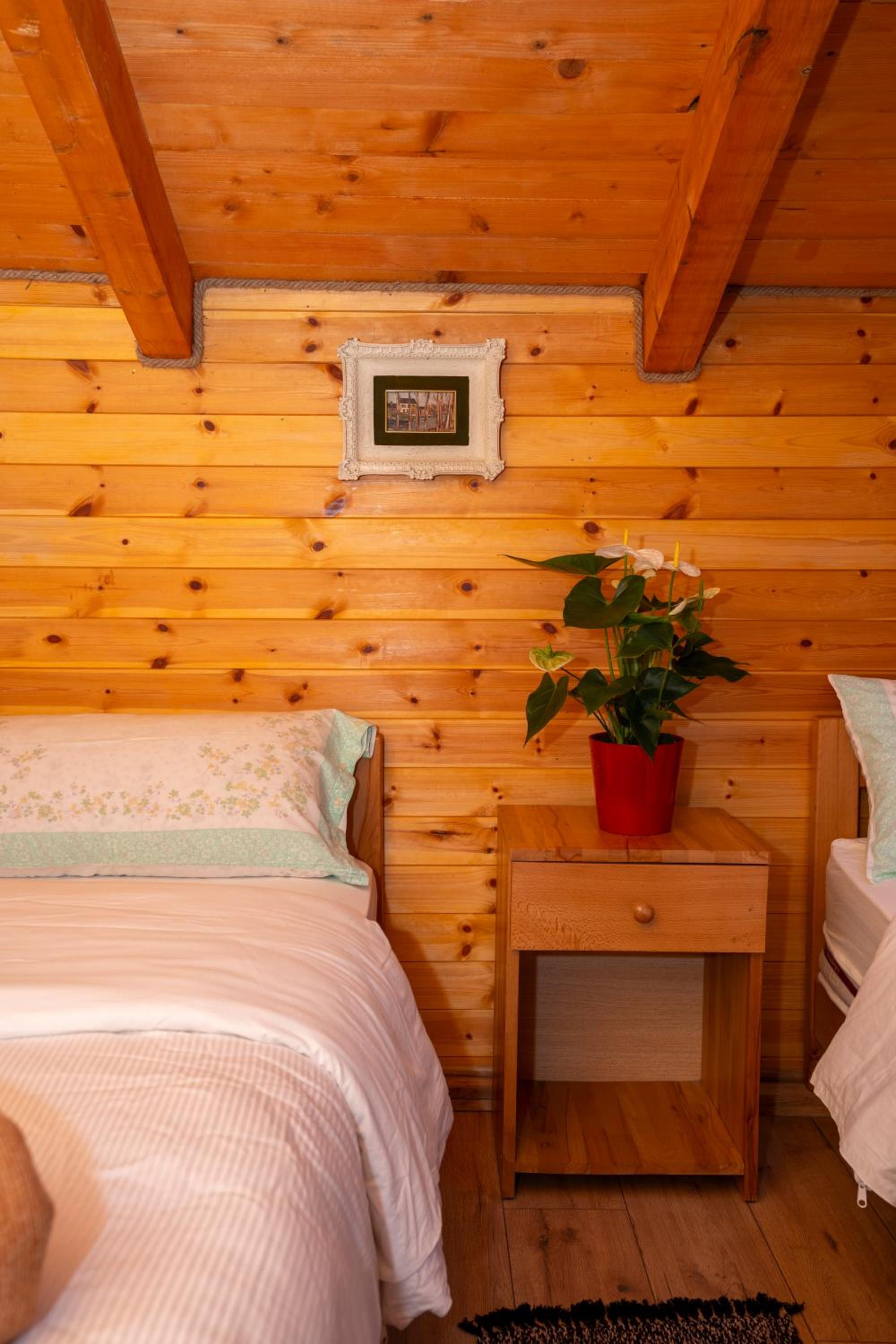 Bee Eco Guest House