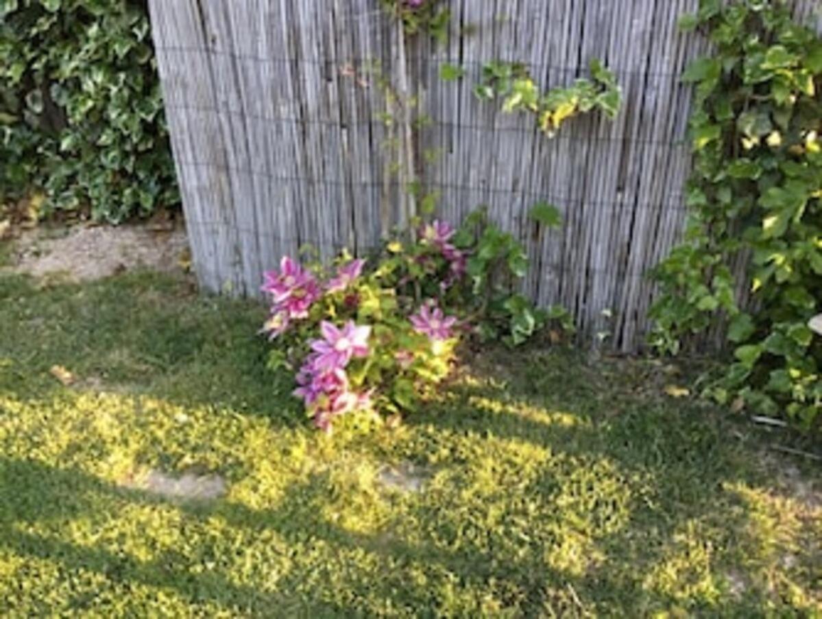 Le gîte de Tante Berthe