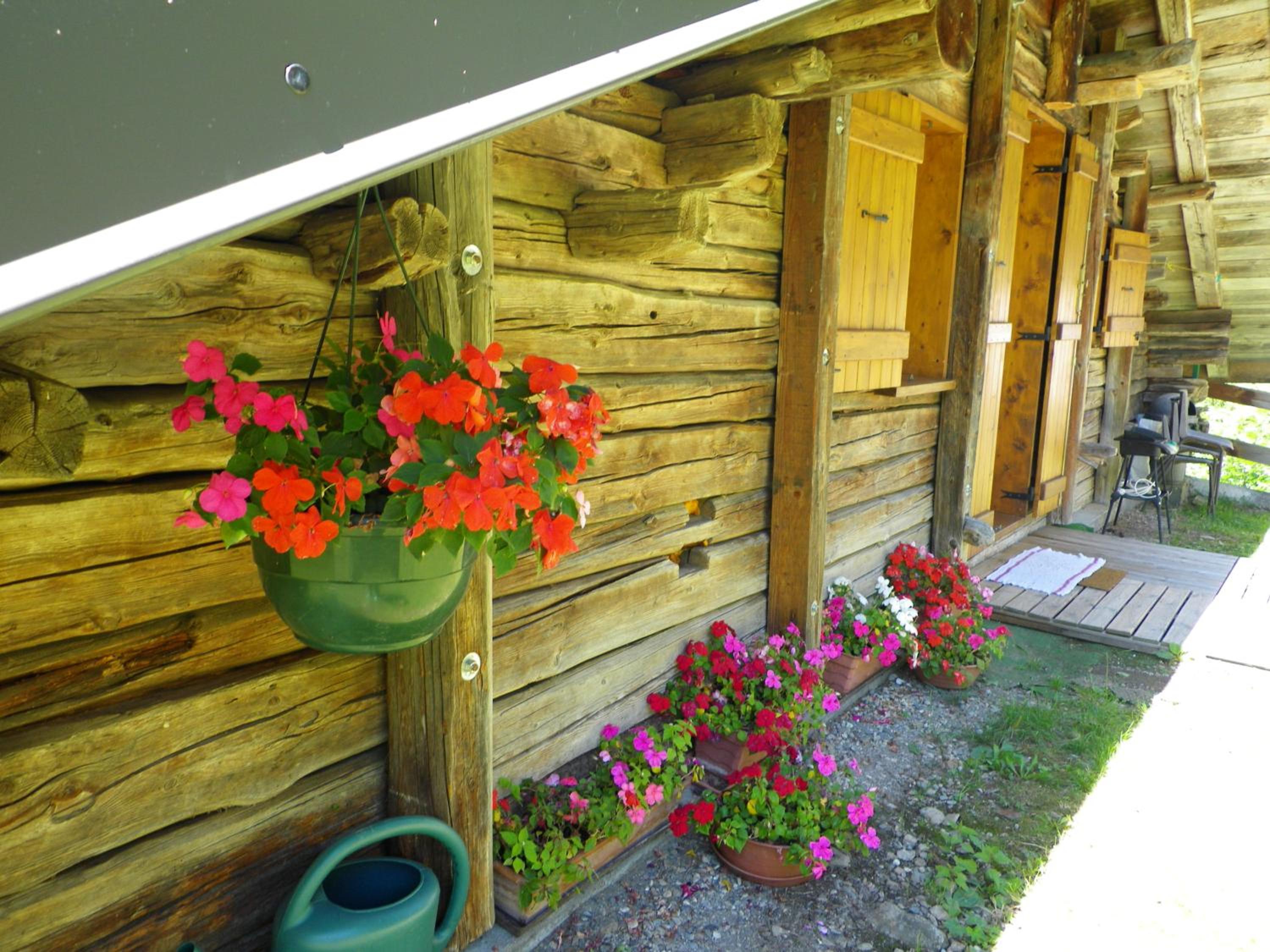 Photo 48