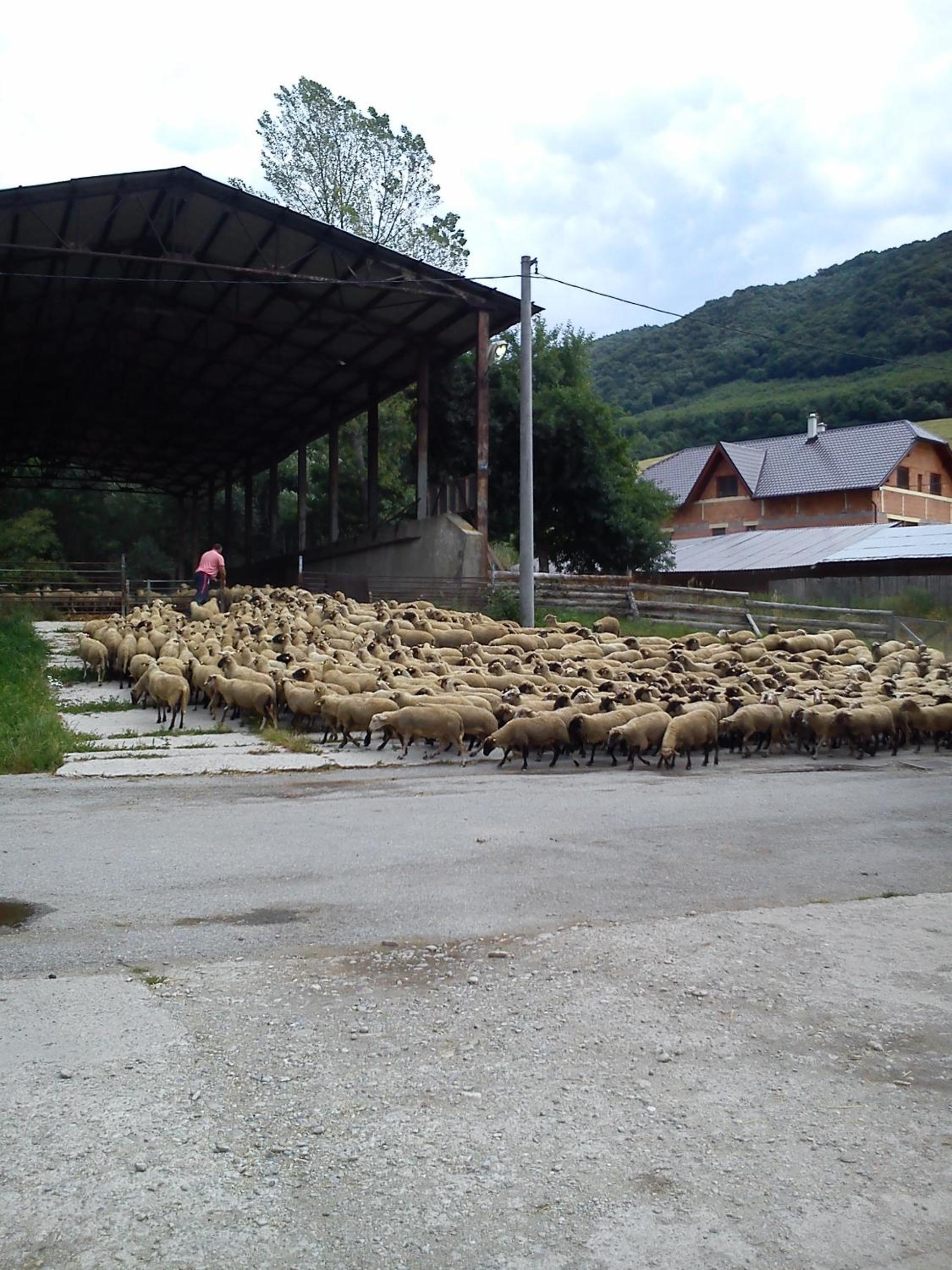 Photo 25