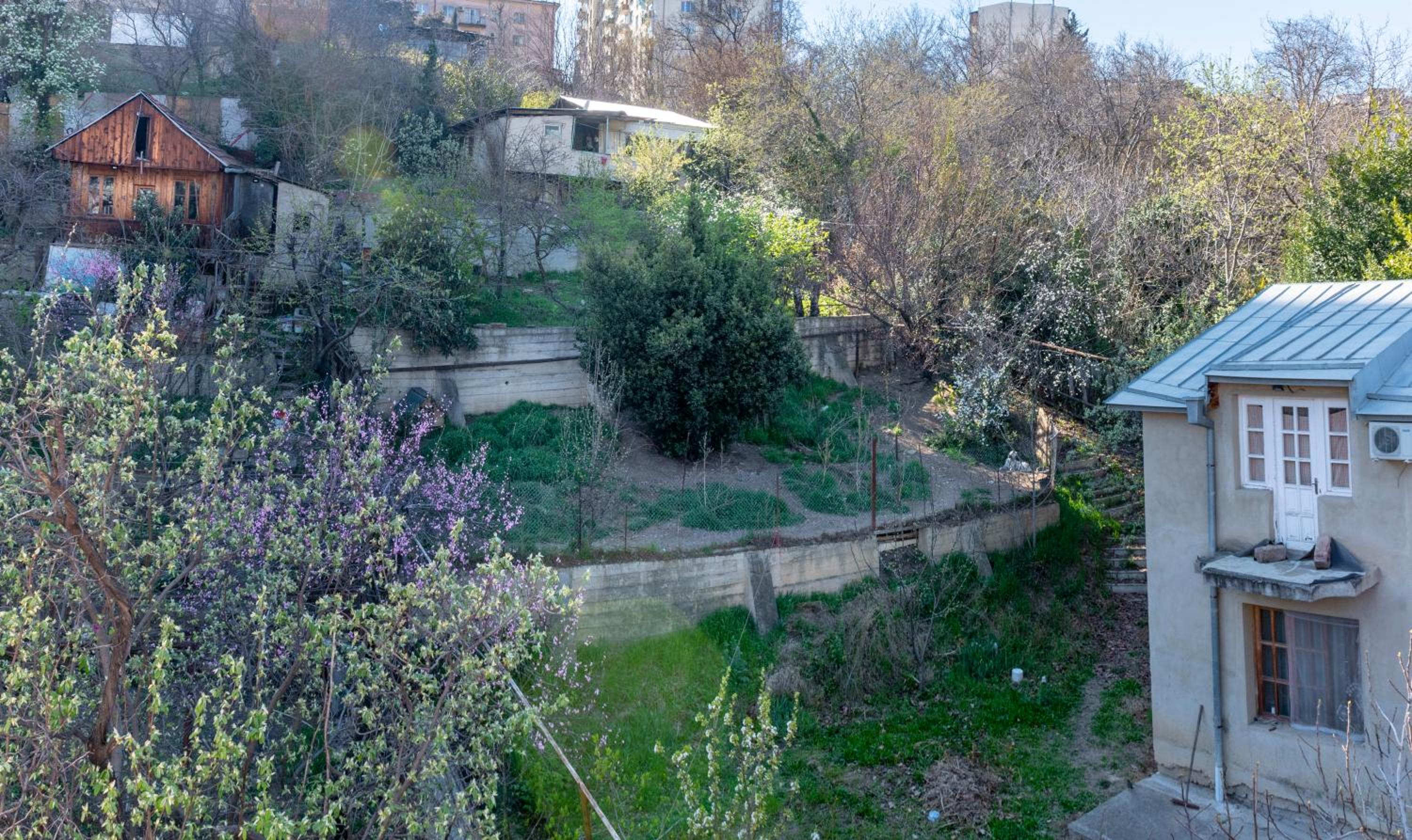 Venesa