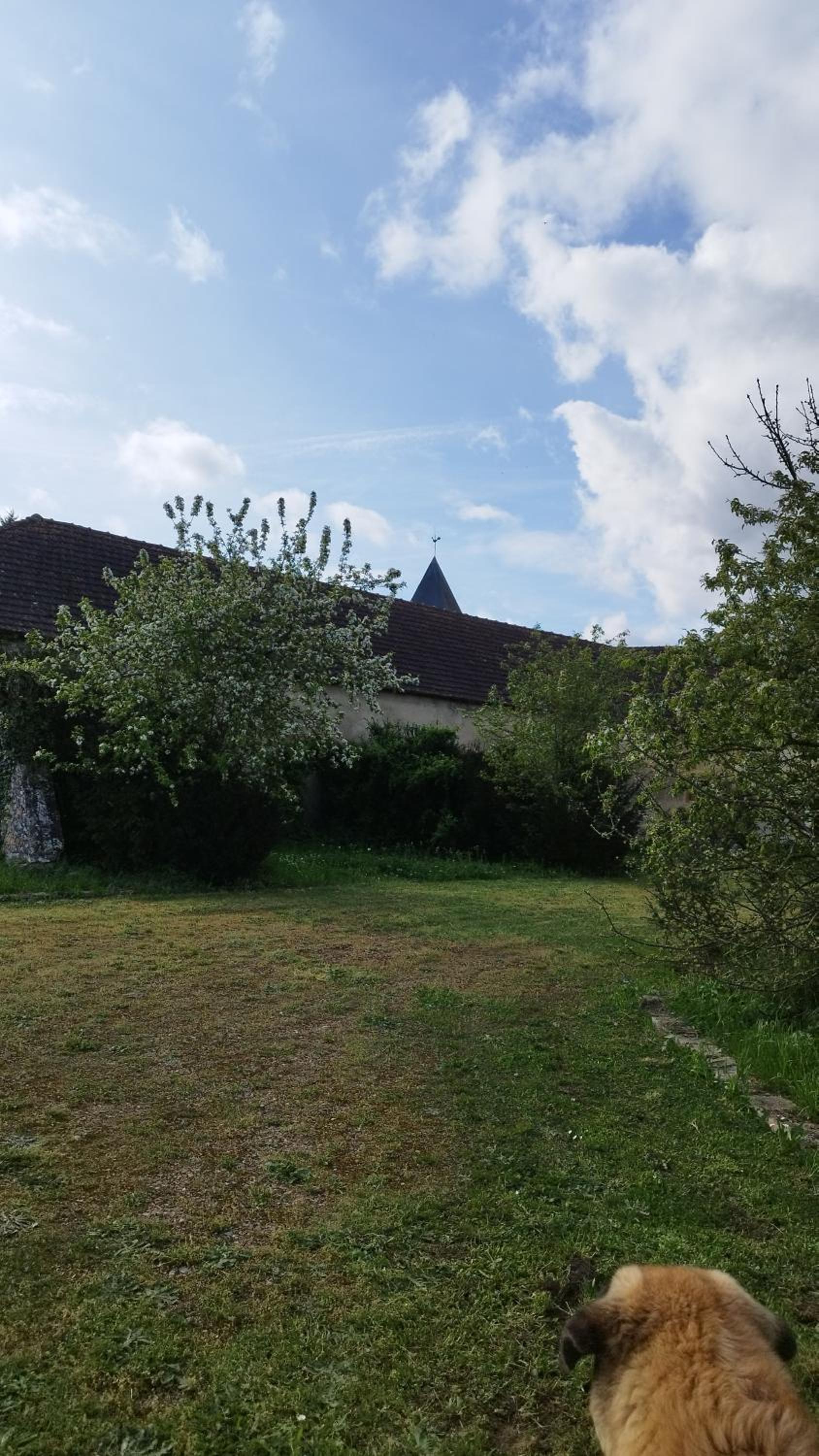 Photo 37