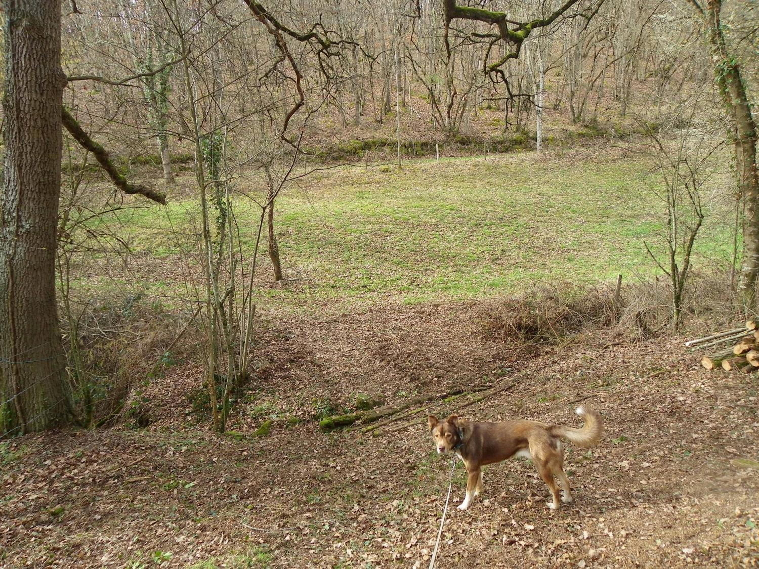 Photo 23