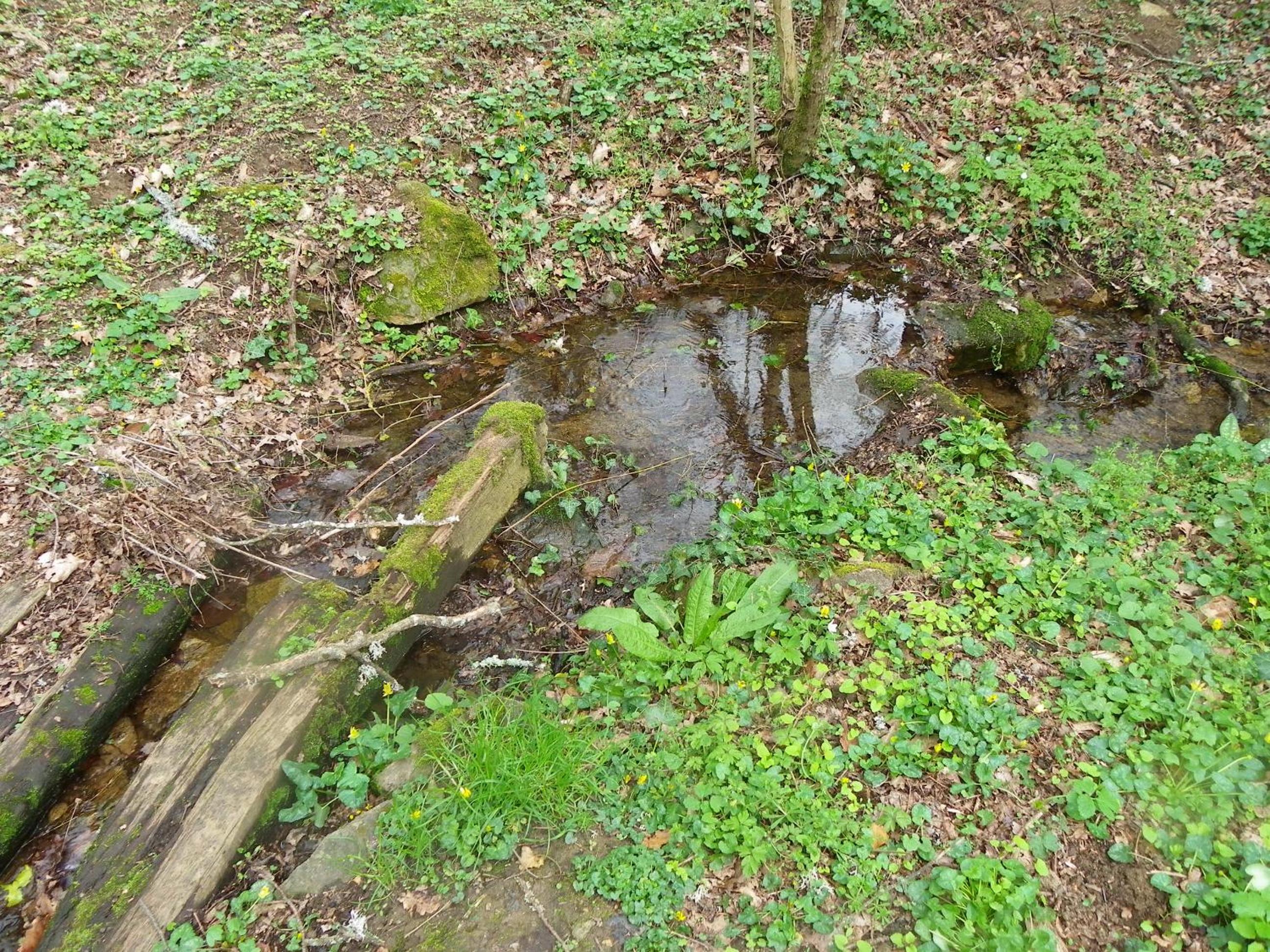 Photo 30