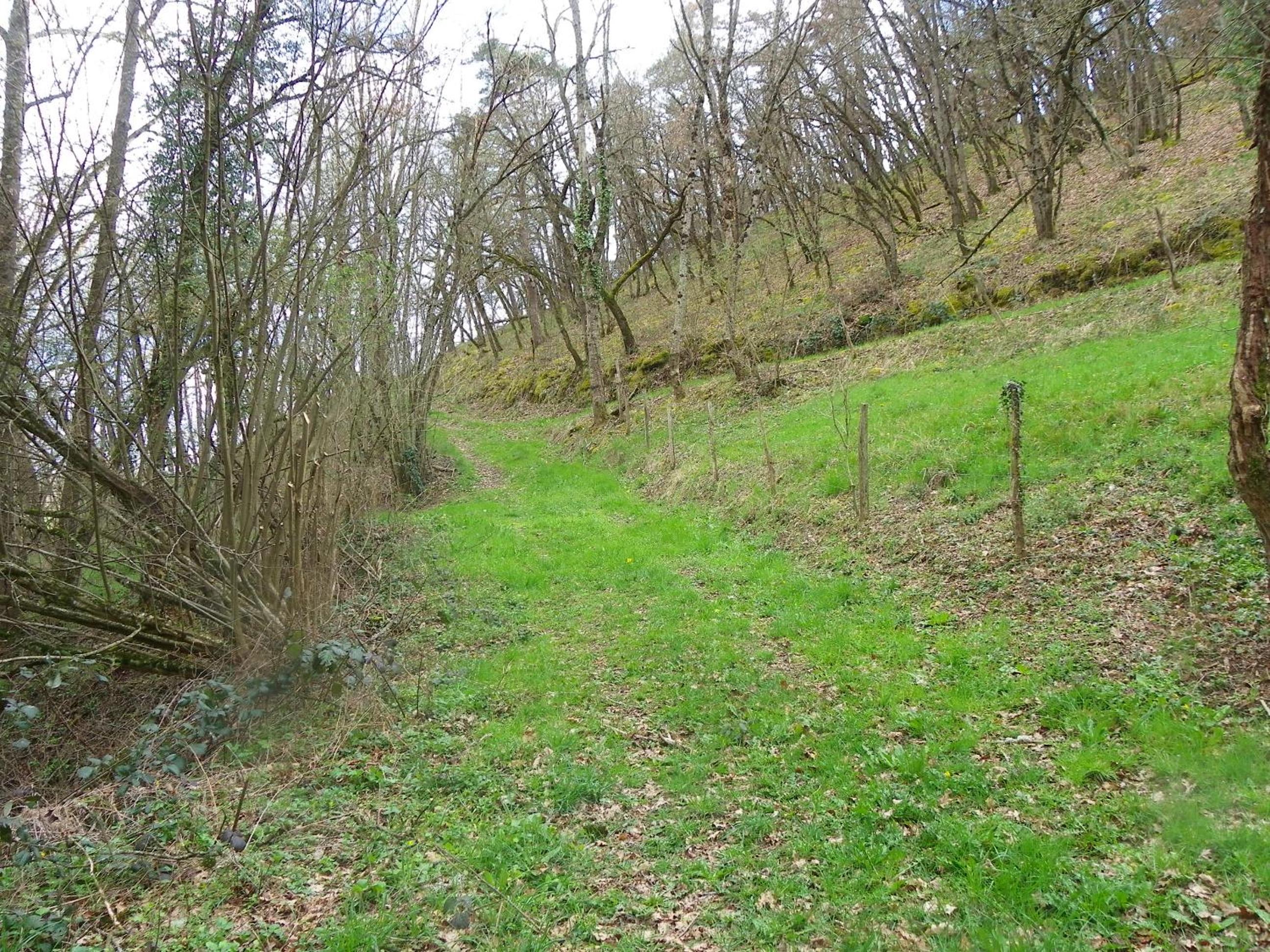 Photo 46