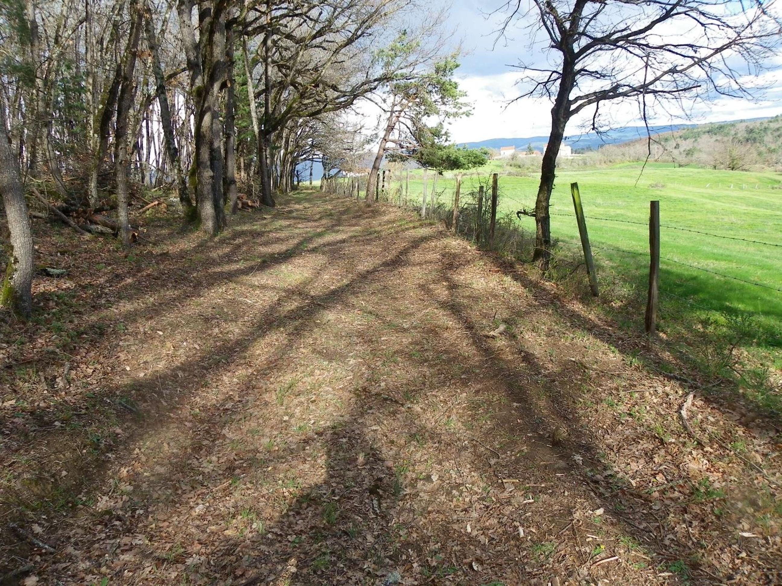 Photo 48