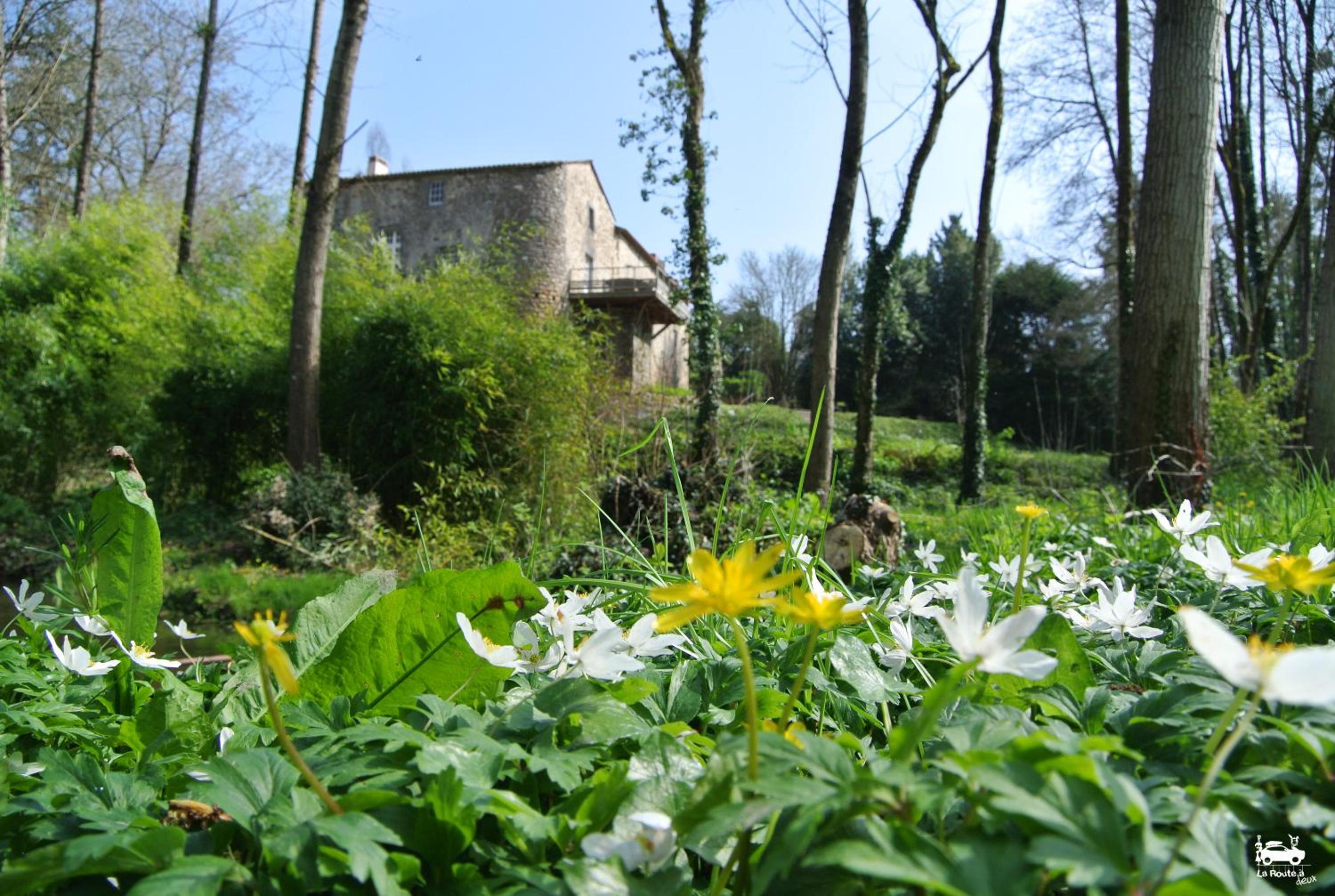 Le Gîte du Vieux Château