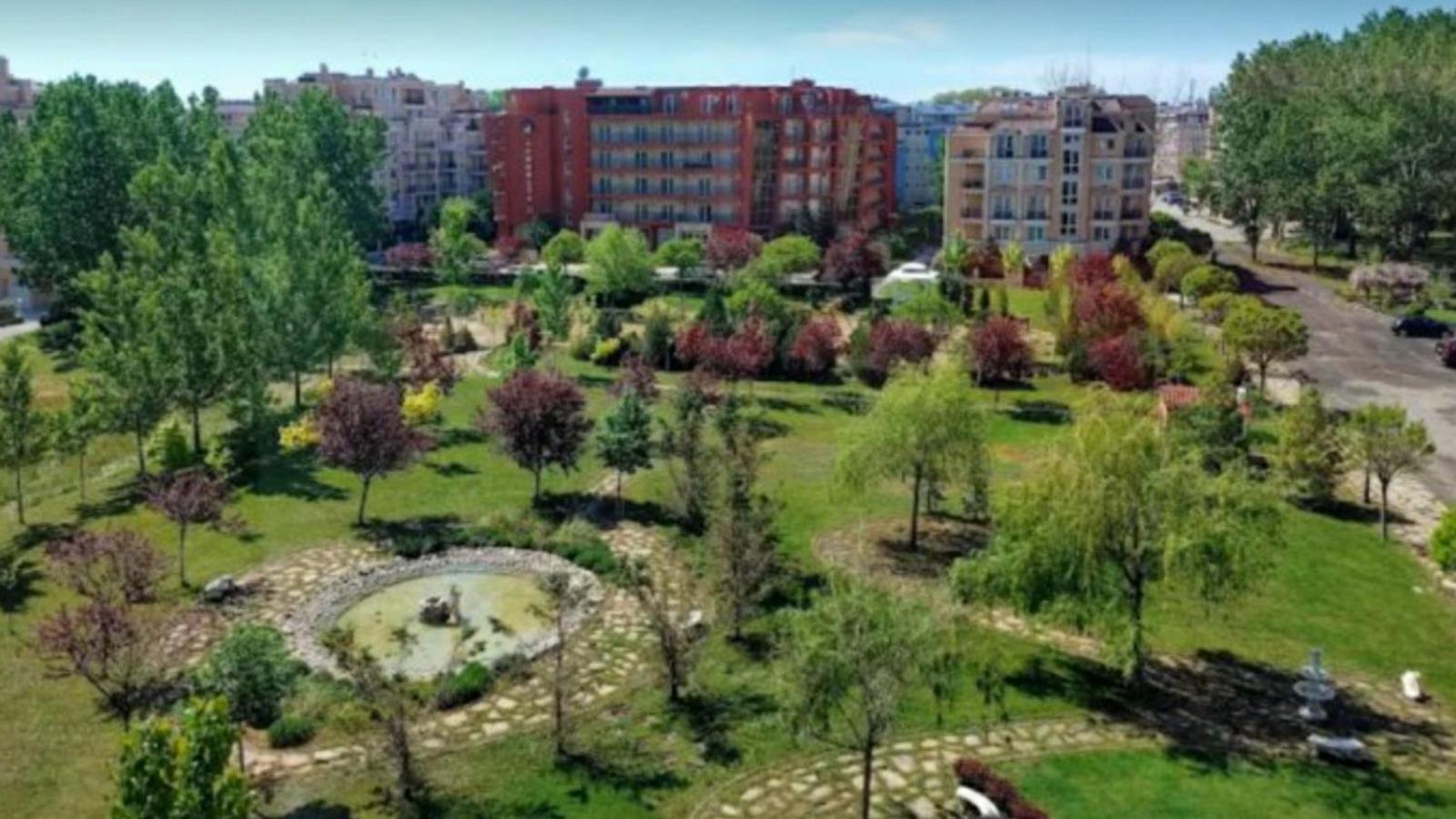 Photo 8