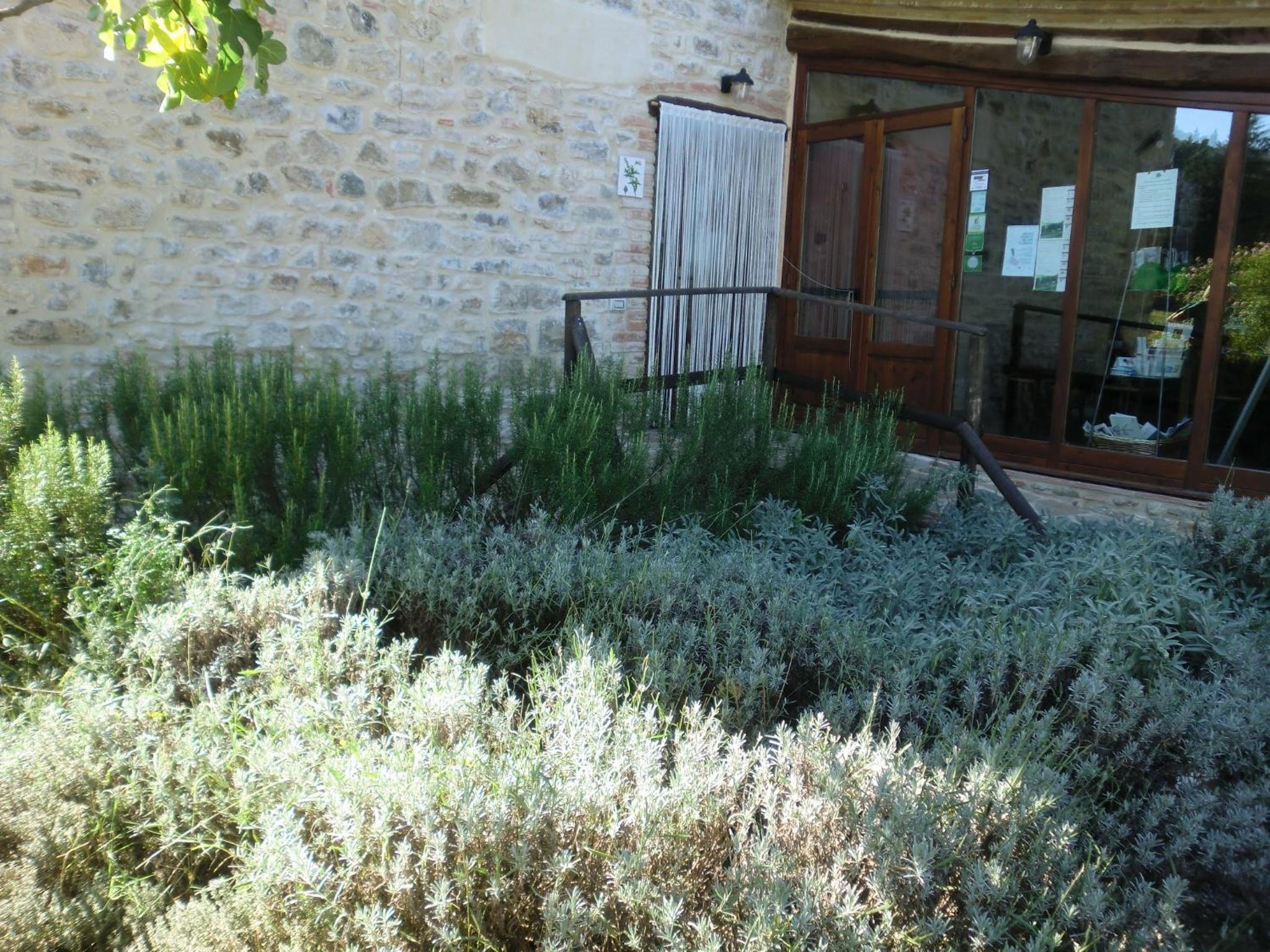 Photo 14