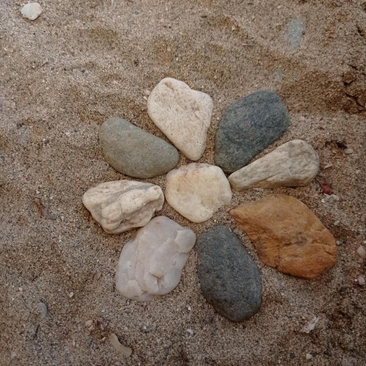 Photo 40