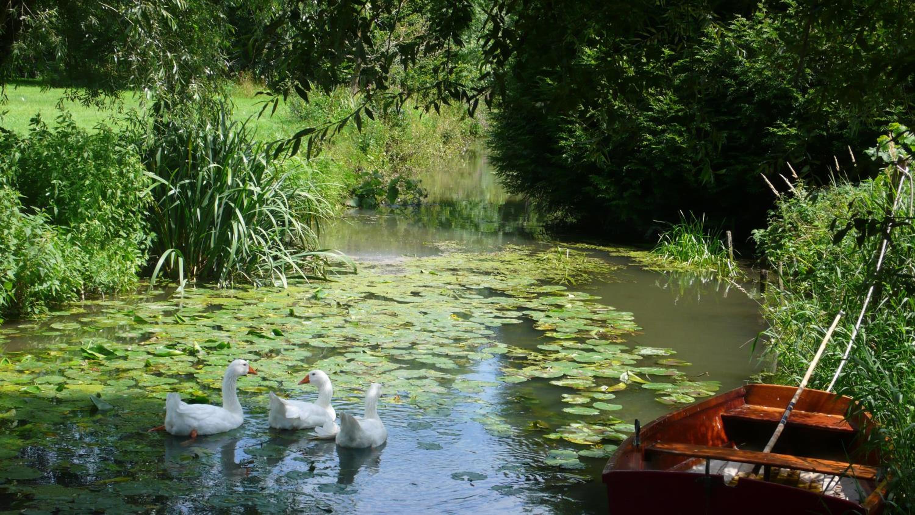 Hôte Sainte Marie