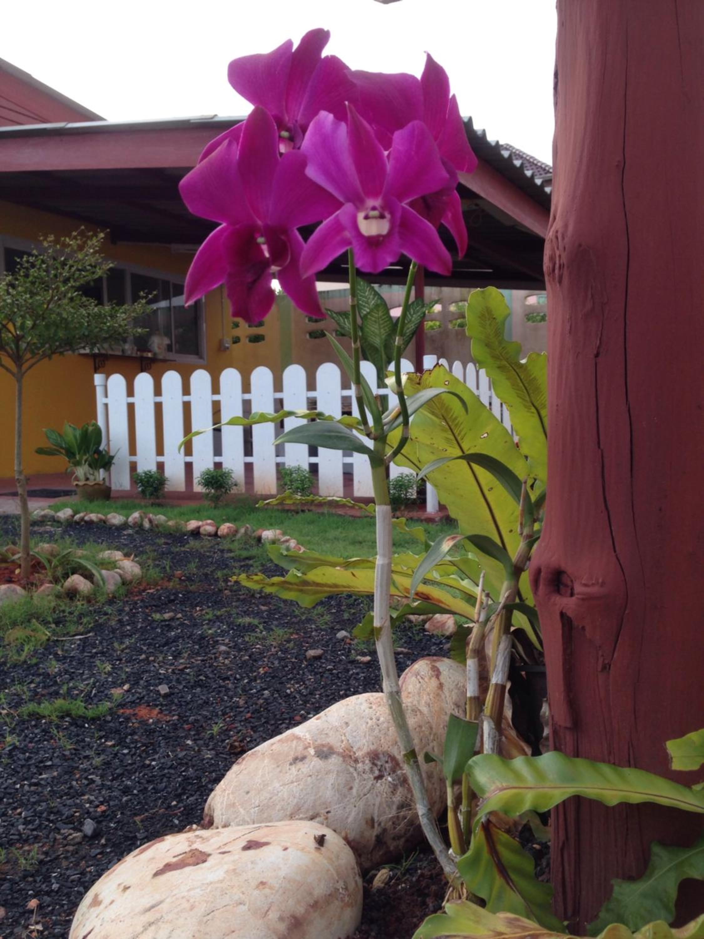 My Home Resort