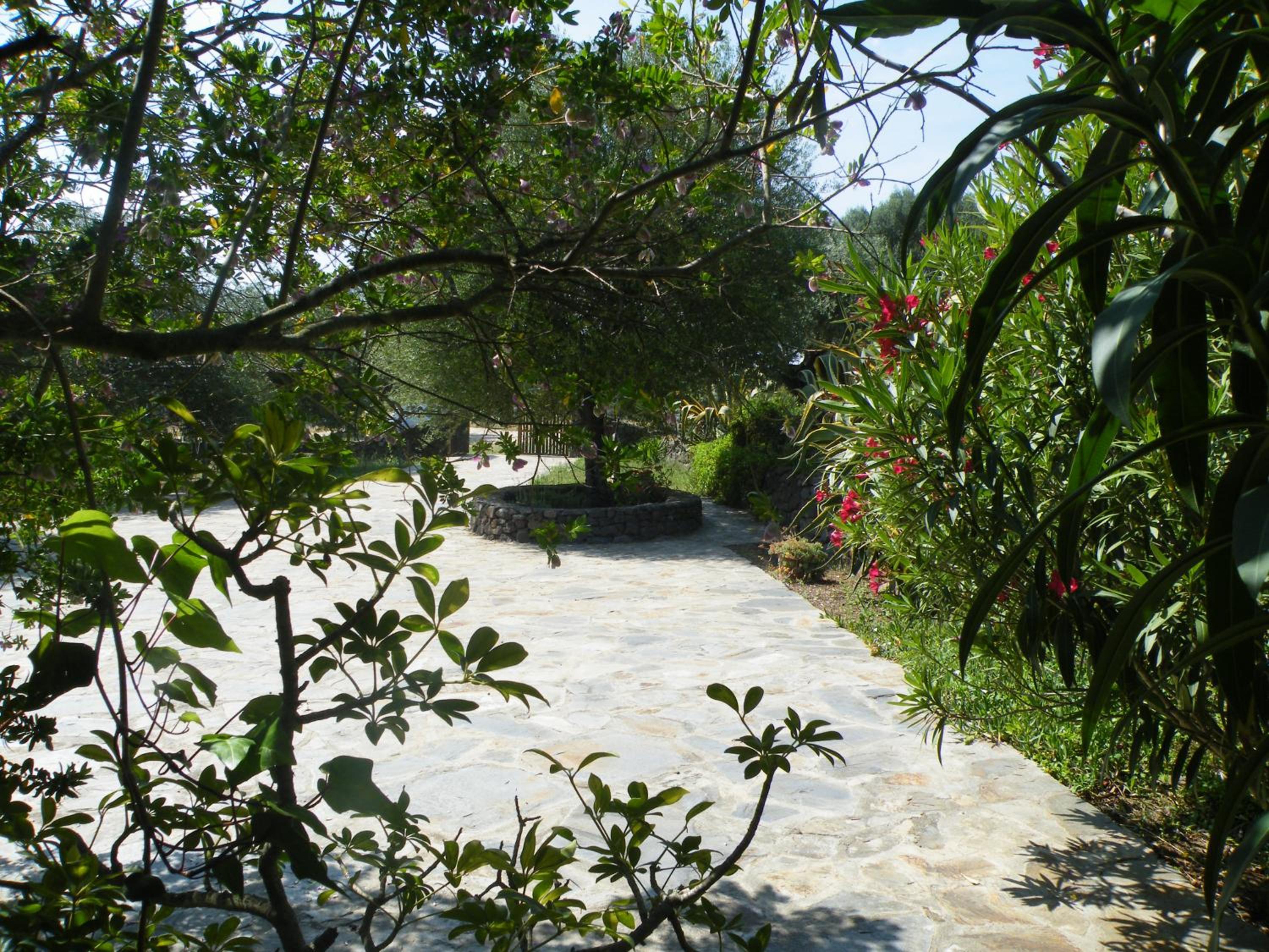 Photo 22