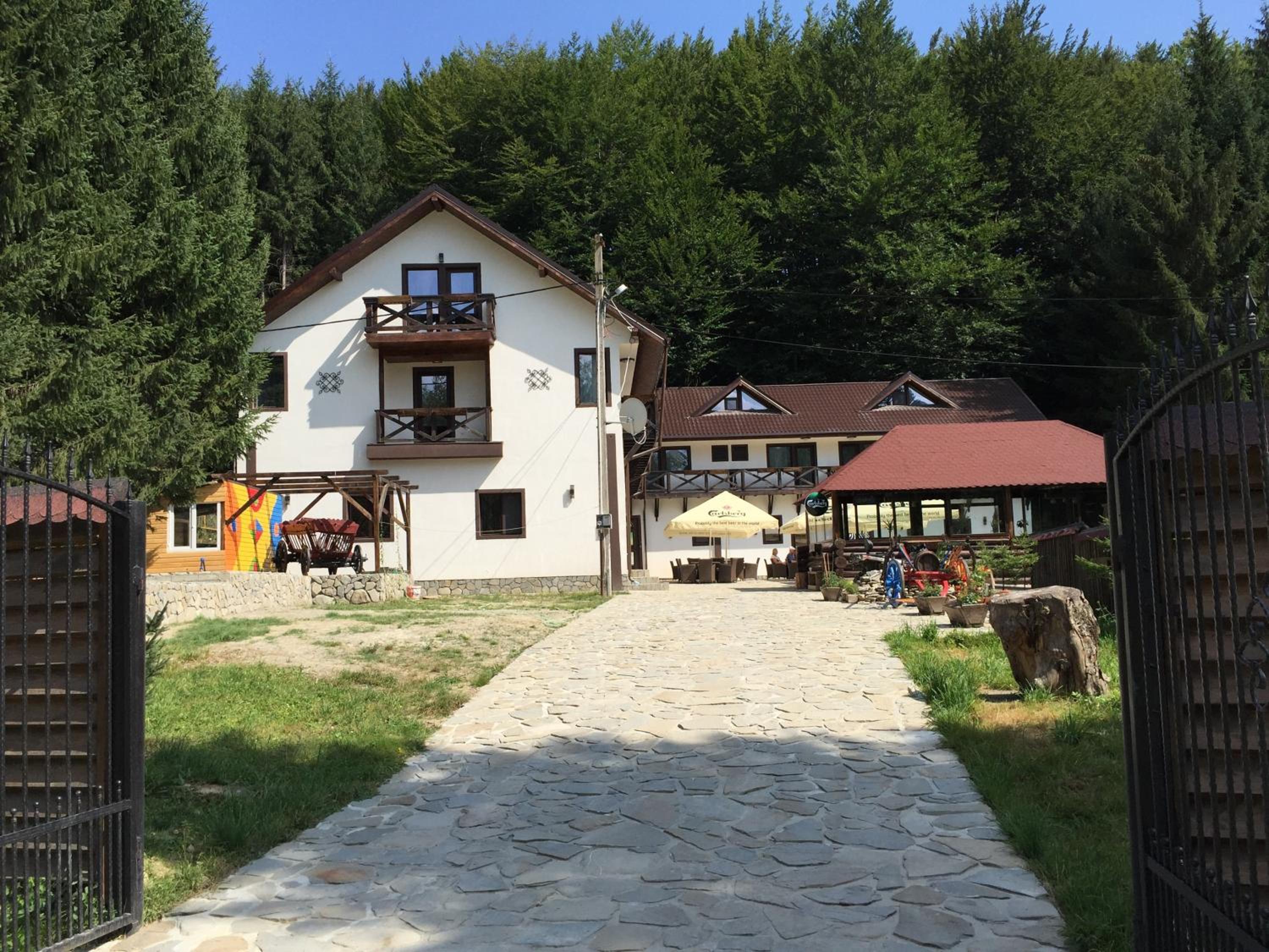 Photo 6