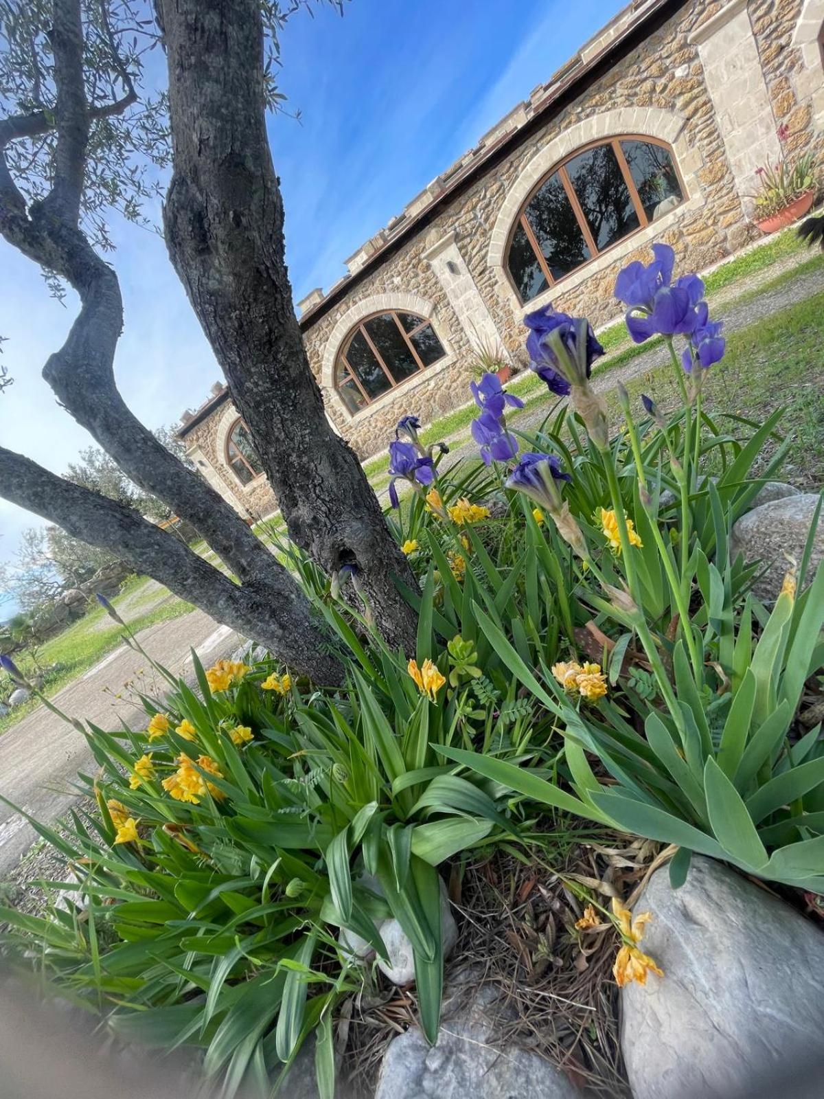 Agriturismo PETRA LUCANA view 2
