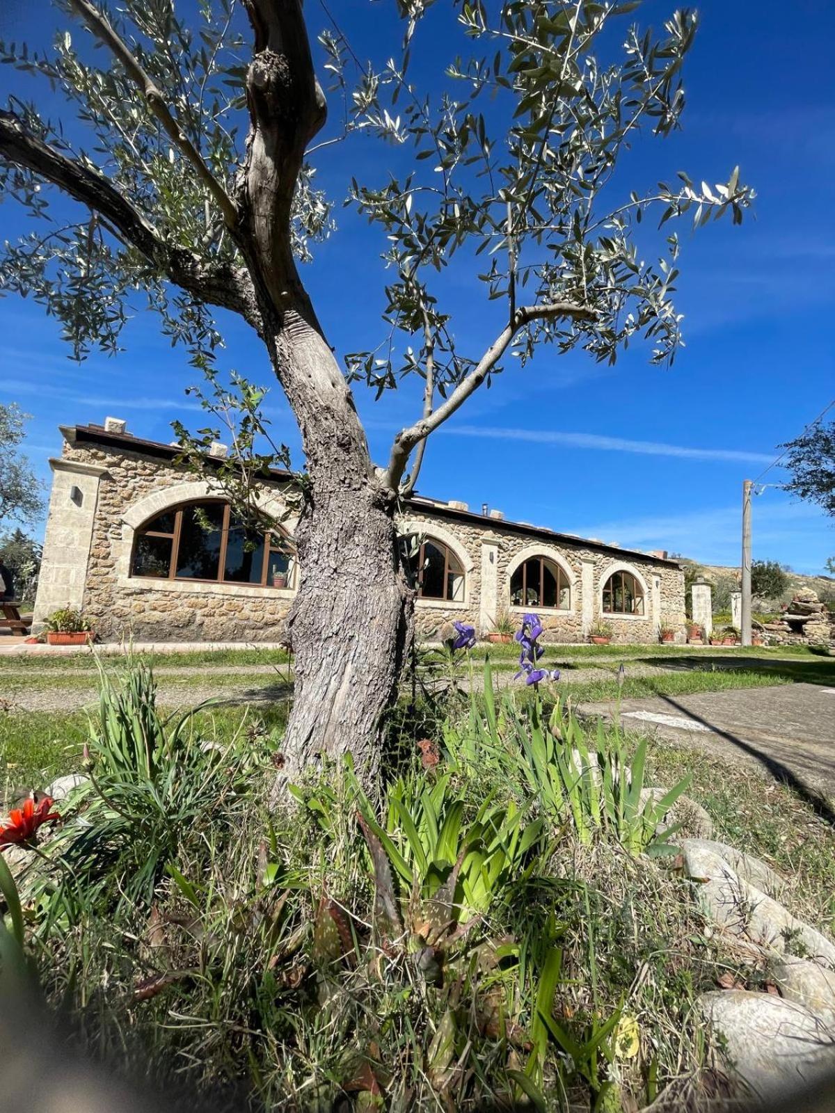 Agriturismo PETRA LUCANA view 3
