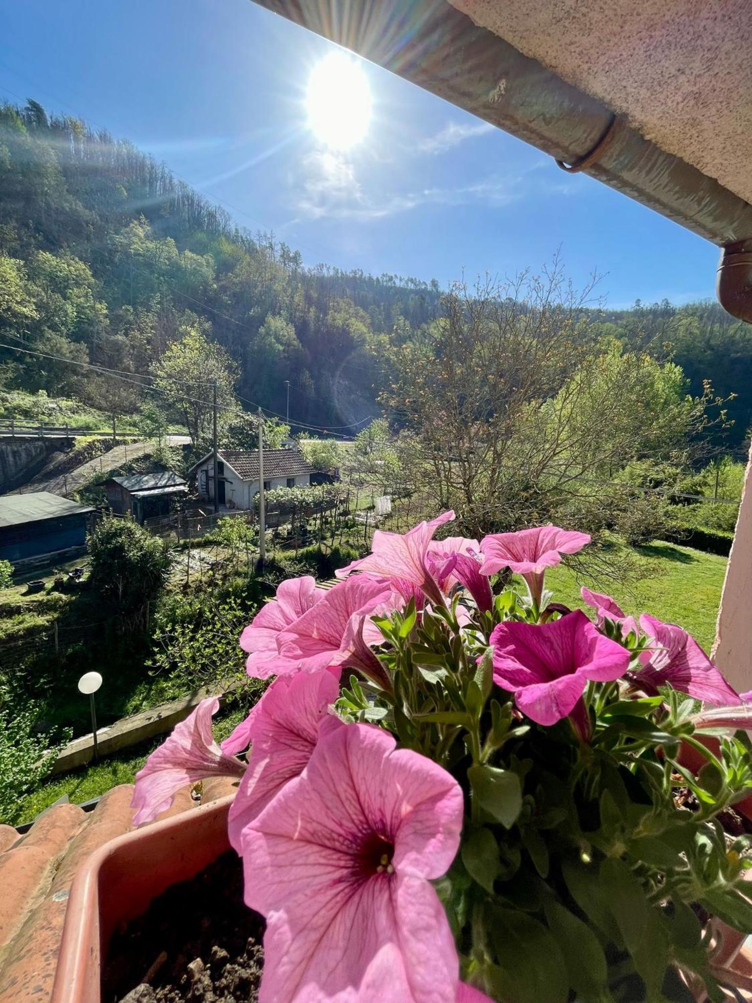 Casa Vacanze Marisa