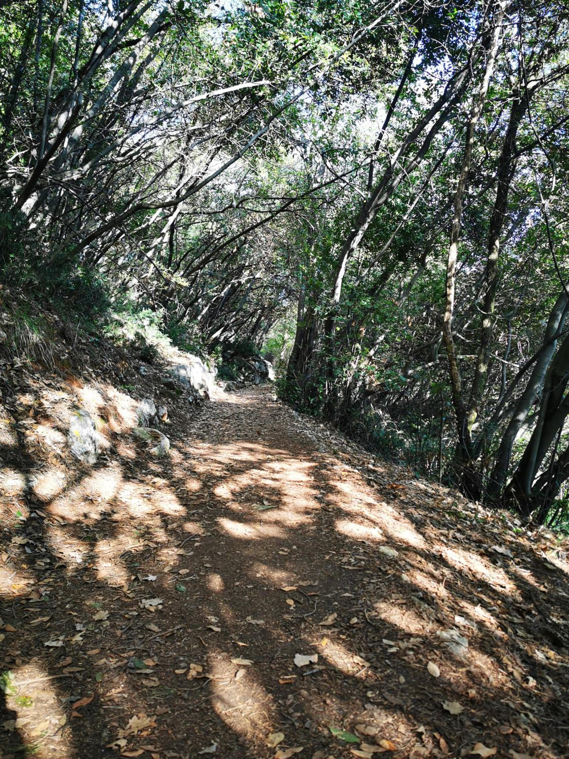 Photo 25