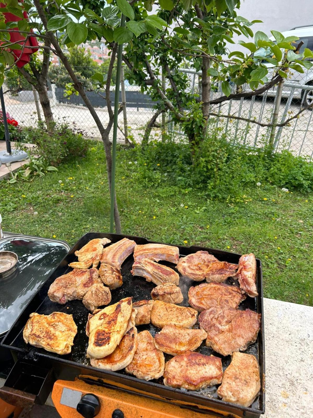 Photo 15