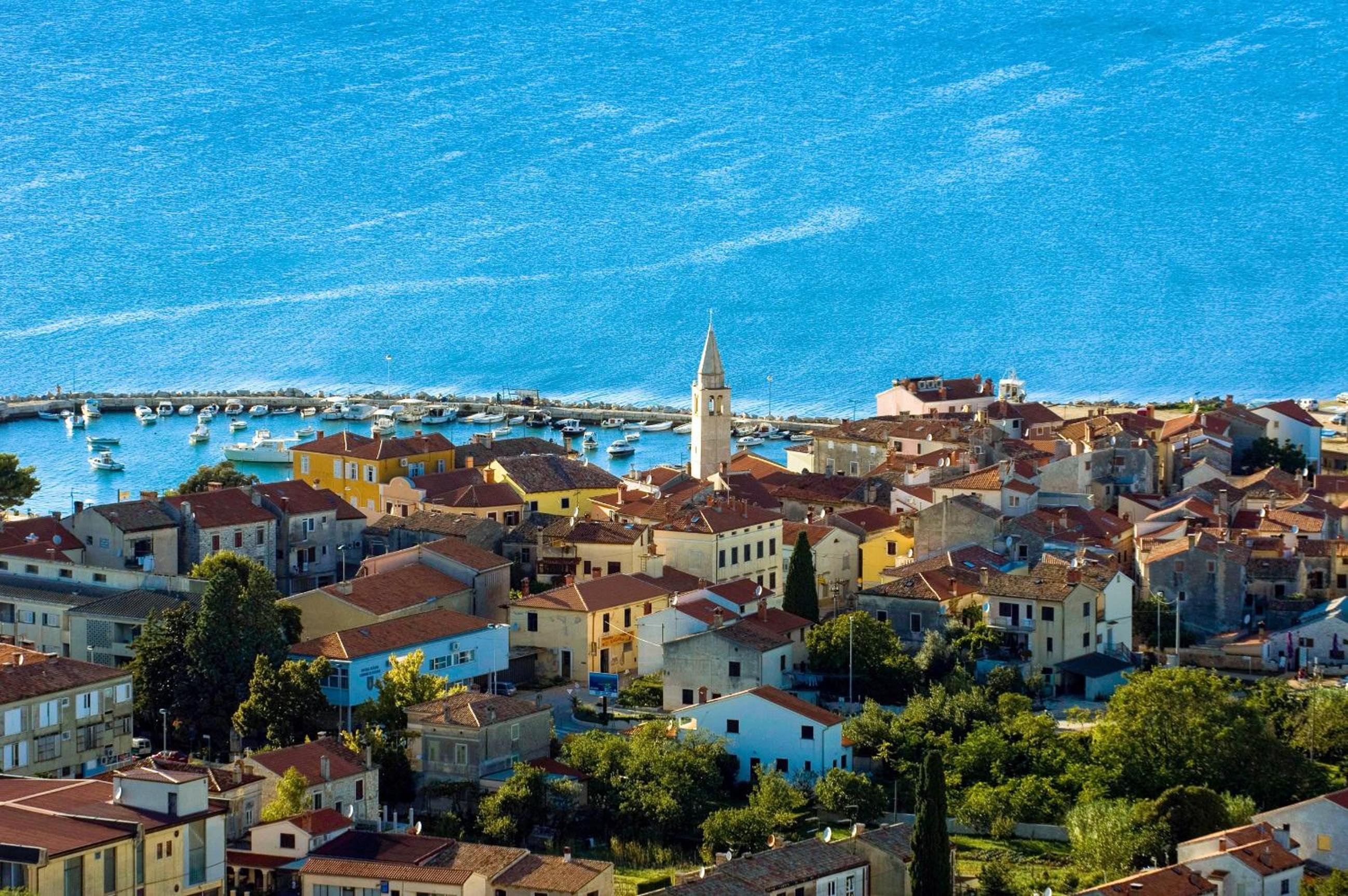 Apartman Olive view 5