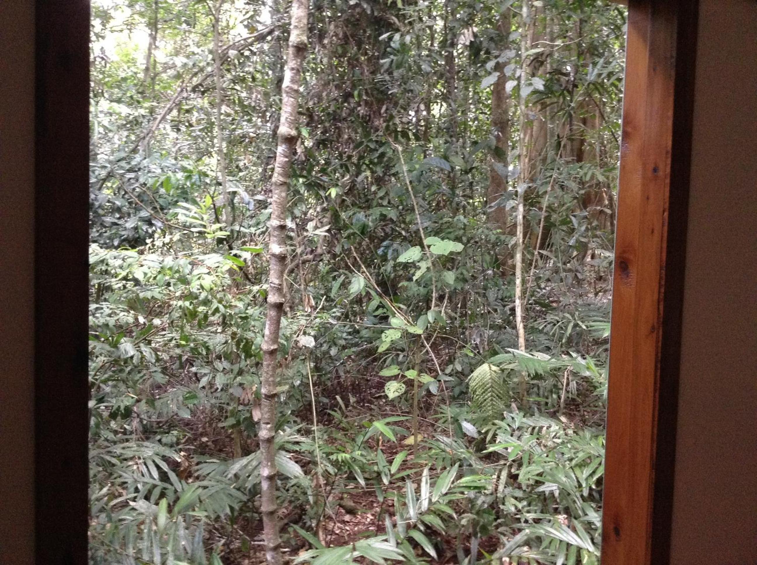 Figtree Getaway
