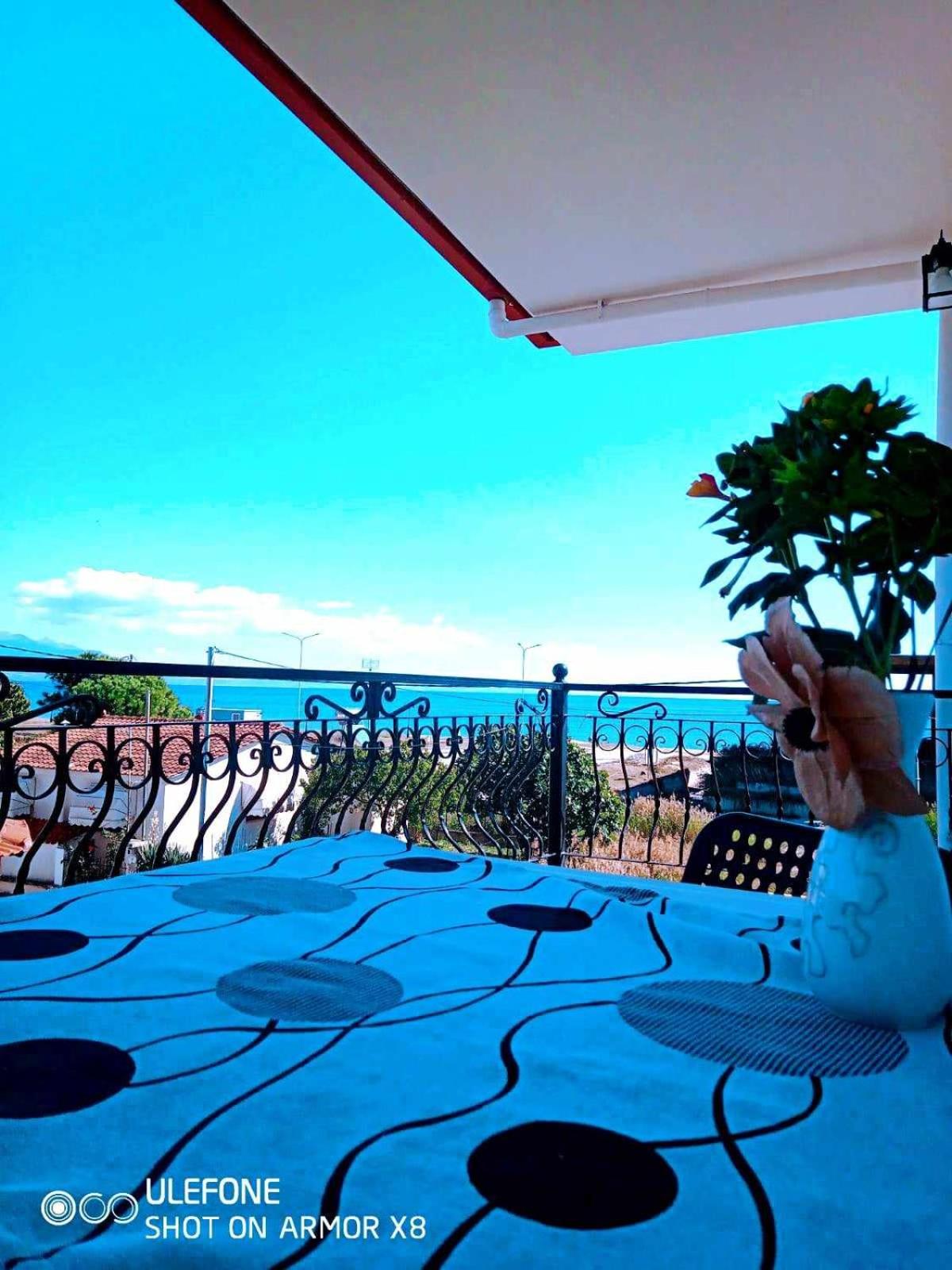 Villa Camellia