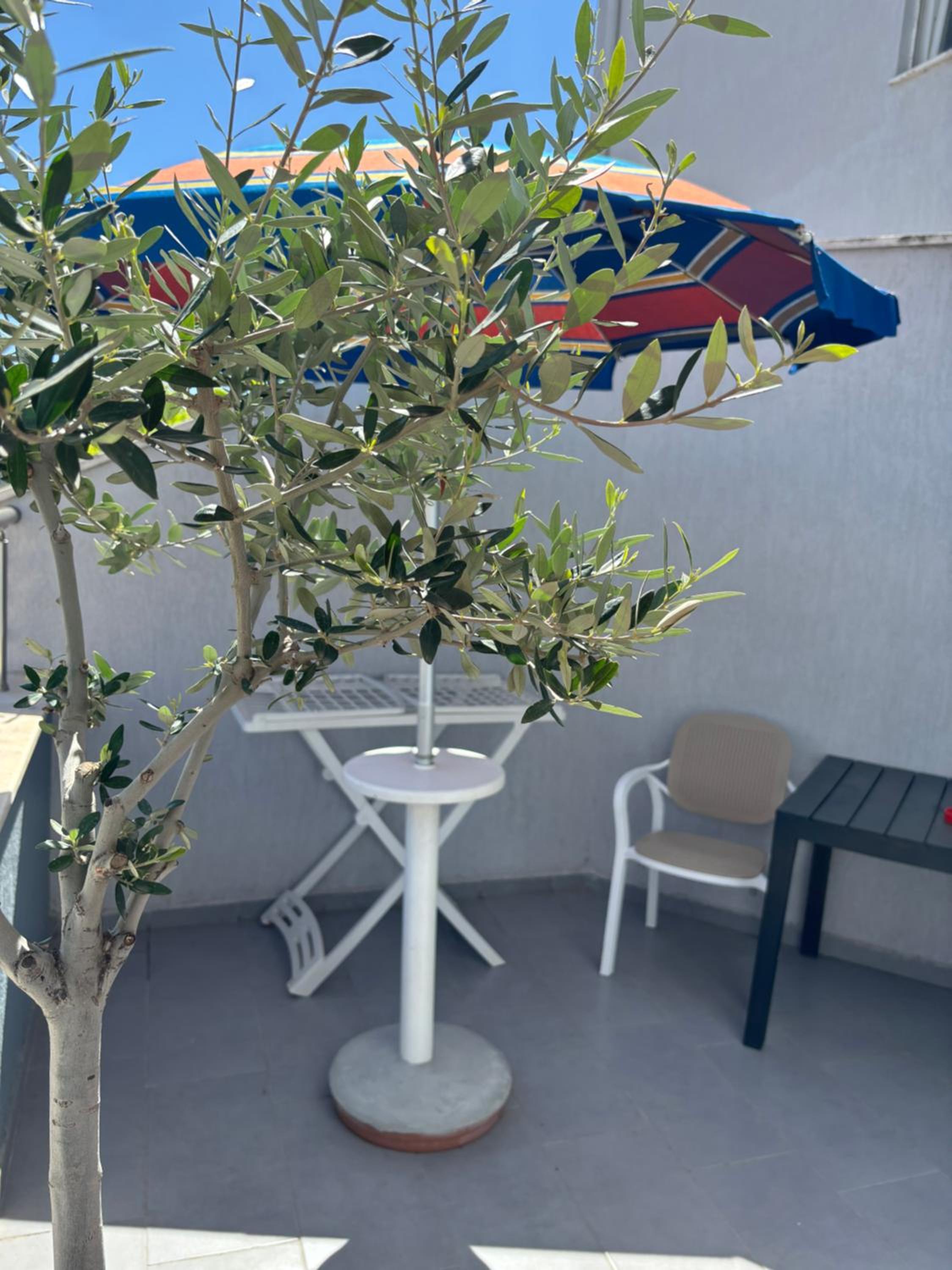 Apartament Kris in Durrës Plazh