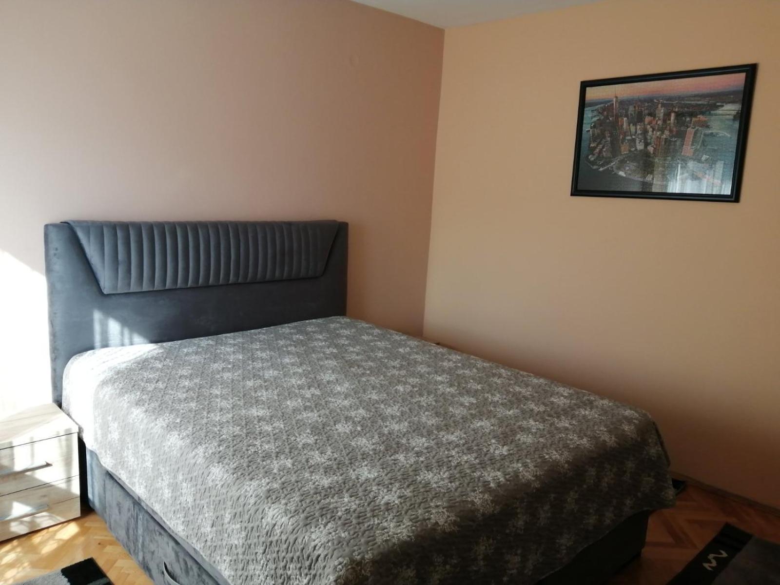 Apartmani Mancic Sokobanja view 3