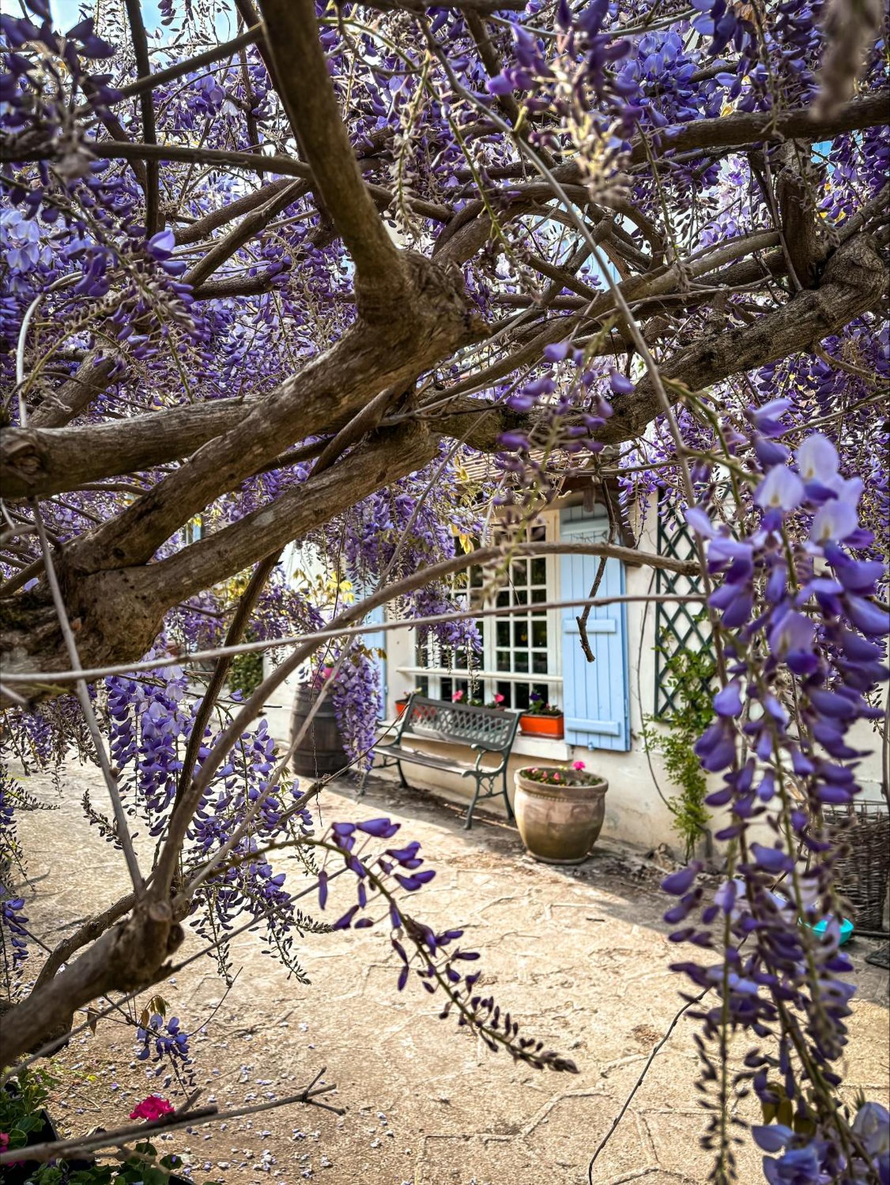 La Maison dans la Brie