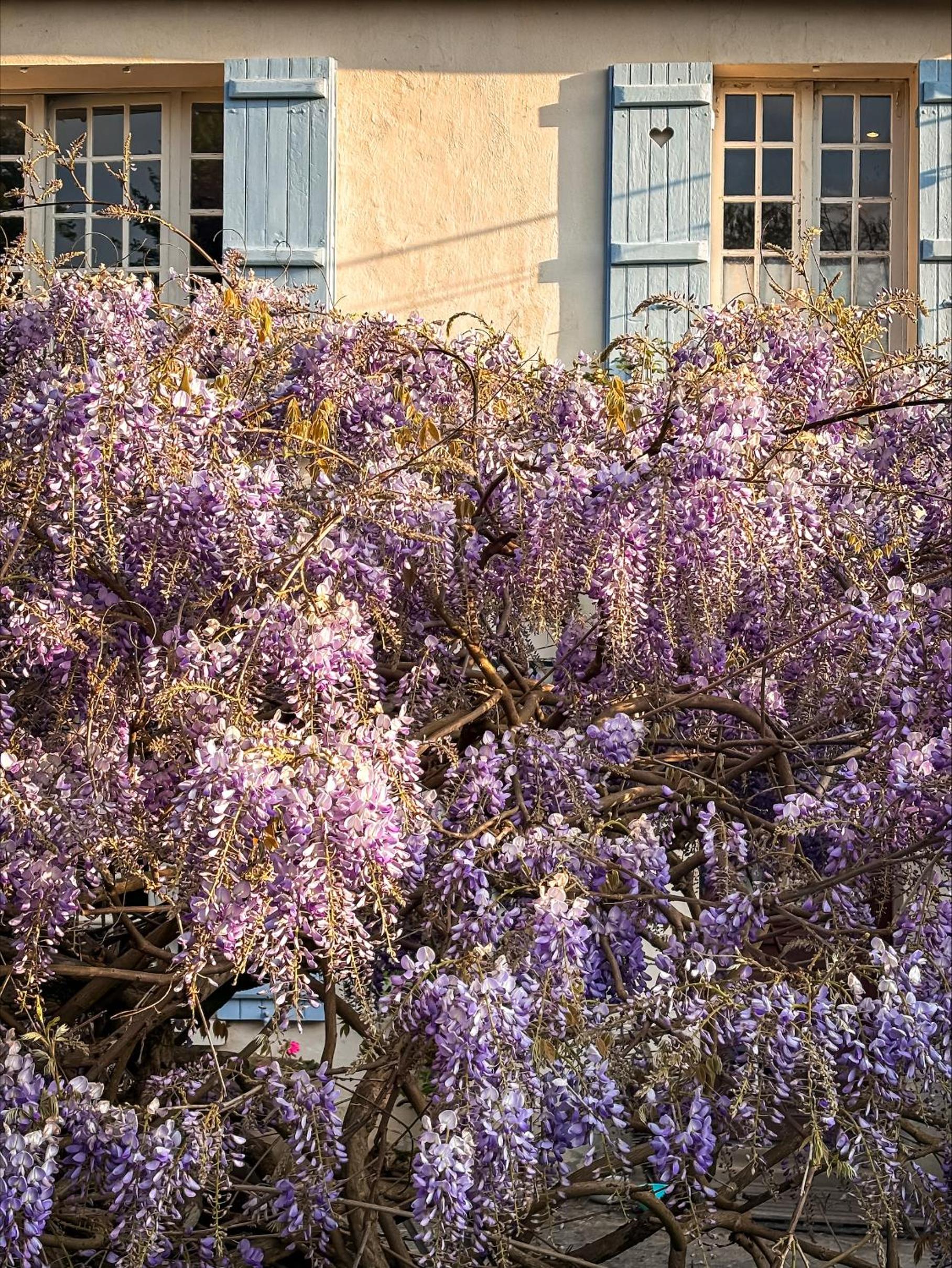 La Maison dans la Brie