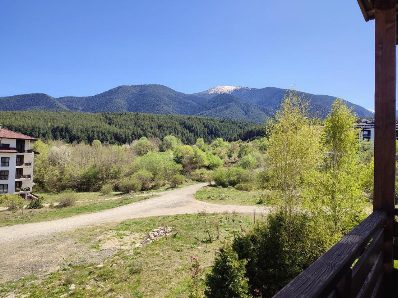 Private apartment in Pirin Heights