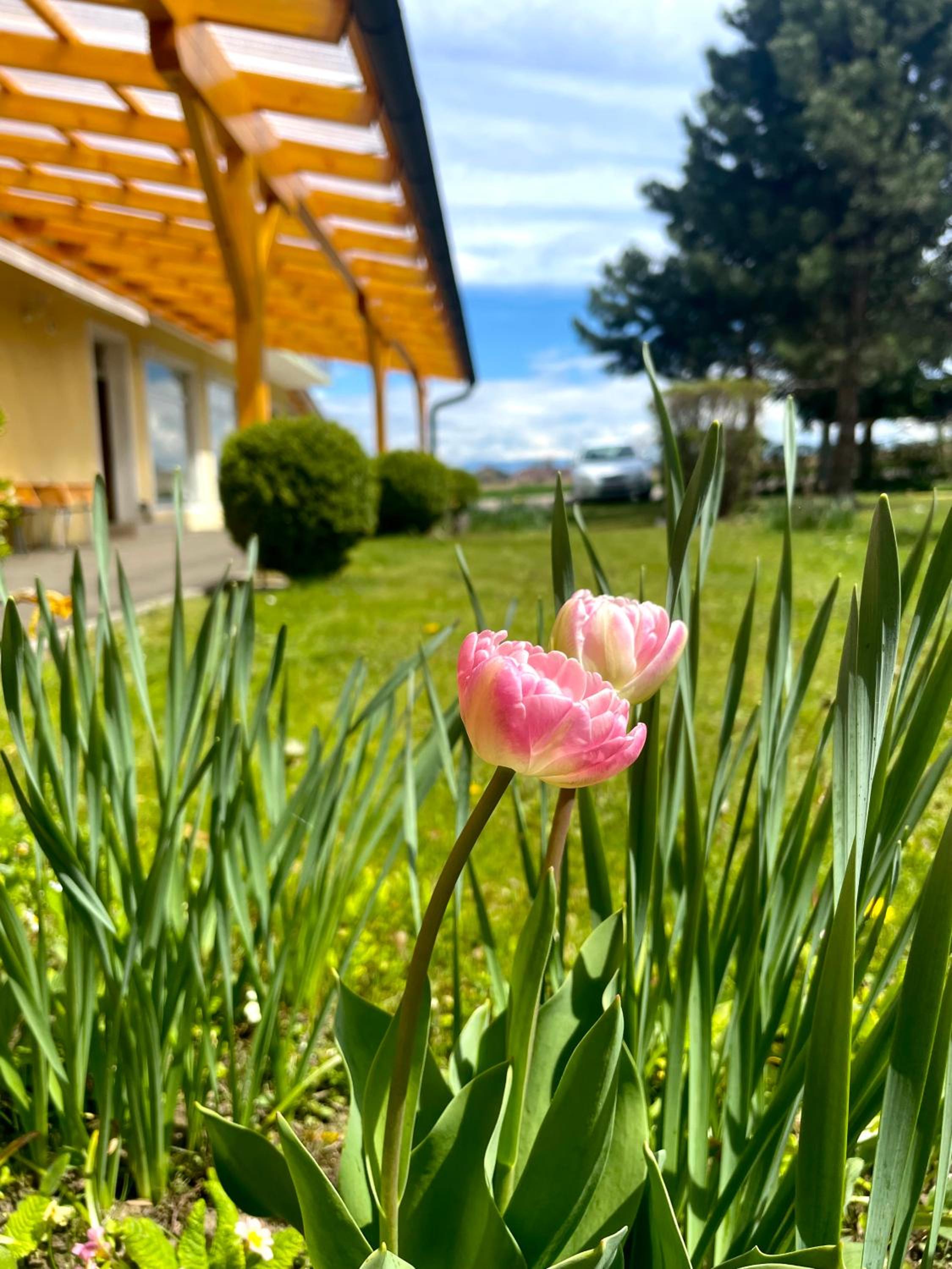 Pension Miklautz