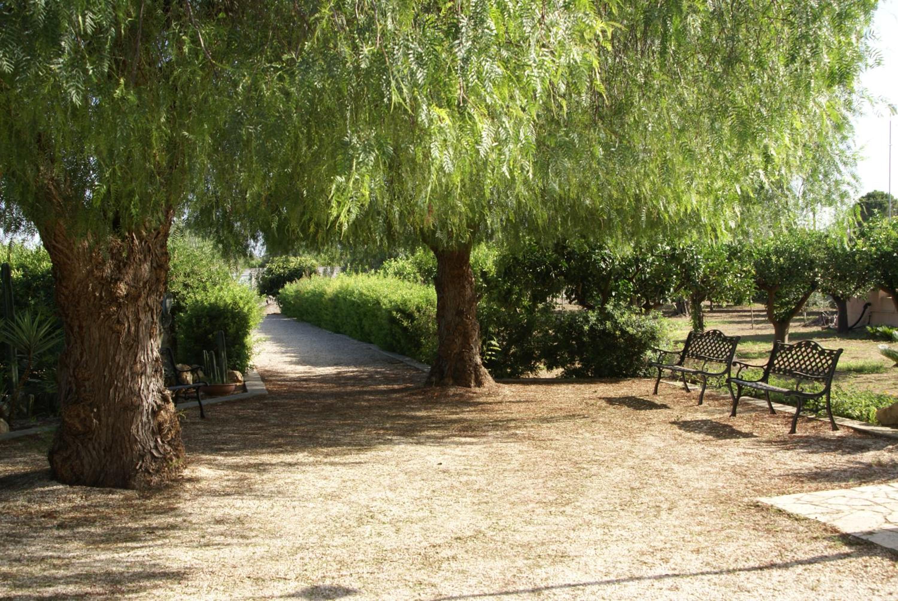 Tenuta Arate