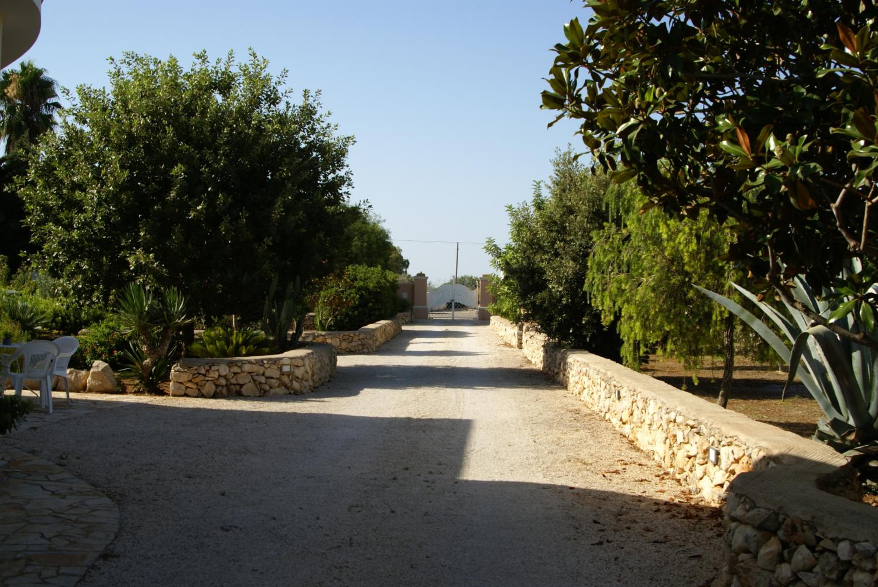 Tenuta Arate