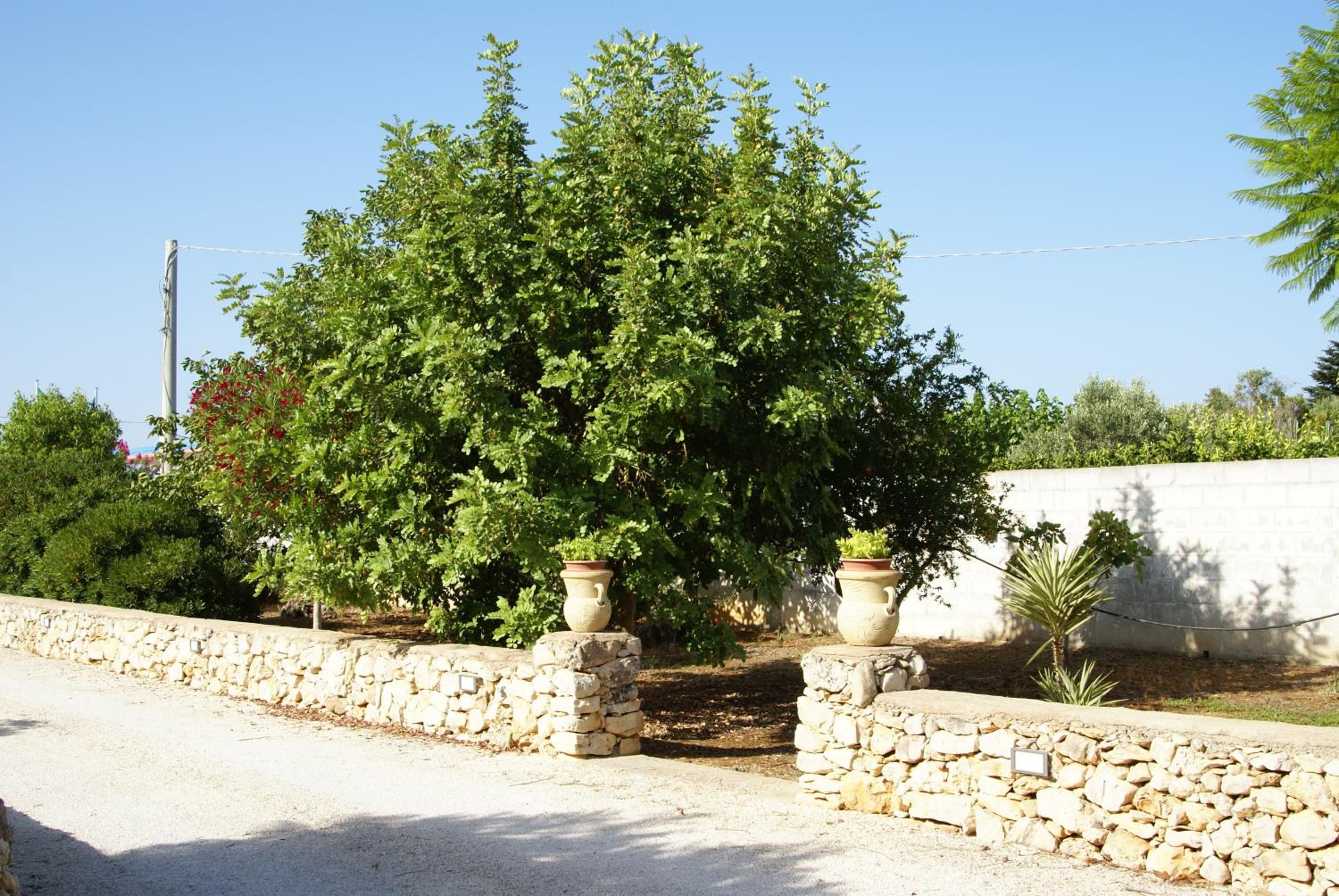 Tenuta Arate