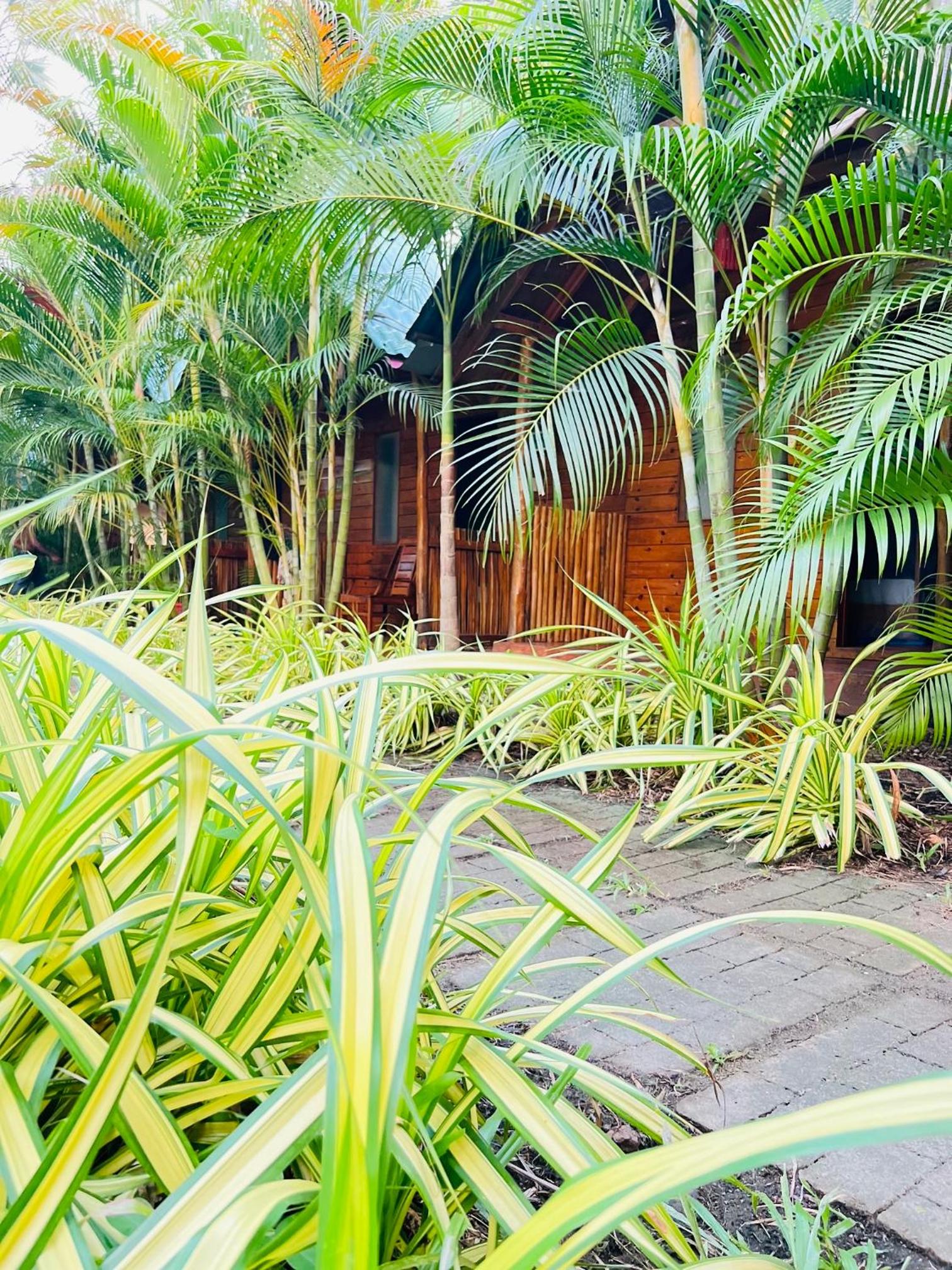 Sasvi Cabana