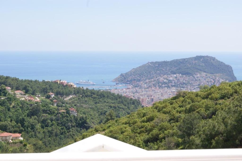 Dream Holiday Villa 6