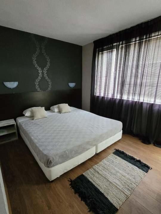 Guest House Taligarov